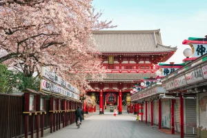 8-Day Tokyo & Hakone Senior-Friendly Tour