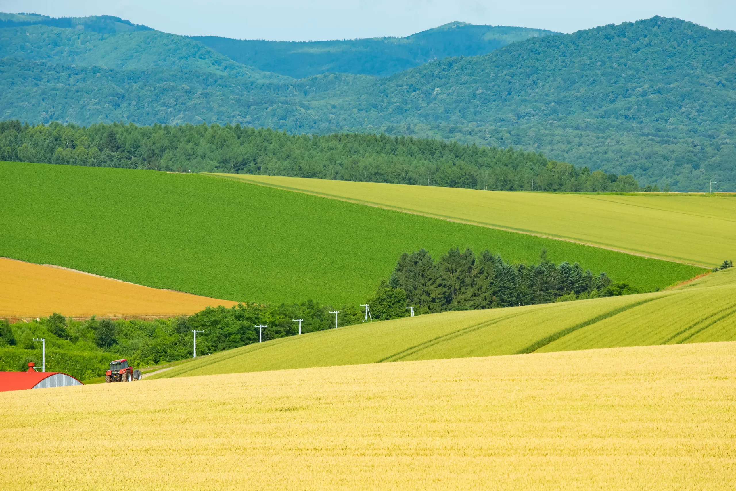 Rolling hills covered with vibrant green and golden fields in Biei, Hokkaido, with a red tractor and farm buildings dotting the landscape, framed by distant forested mountains under a sunny summer sky.