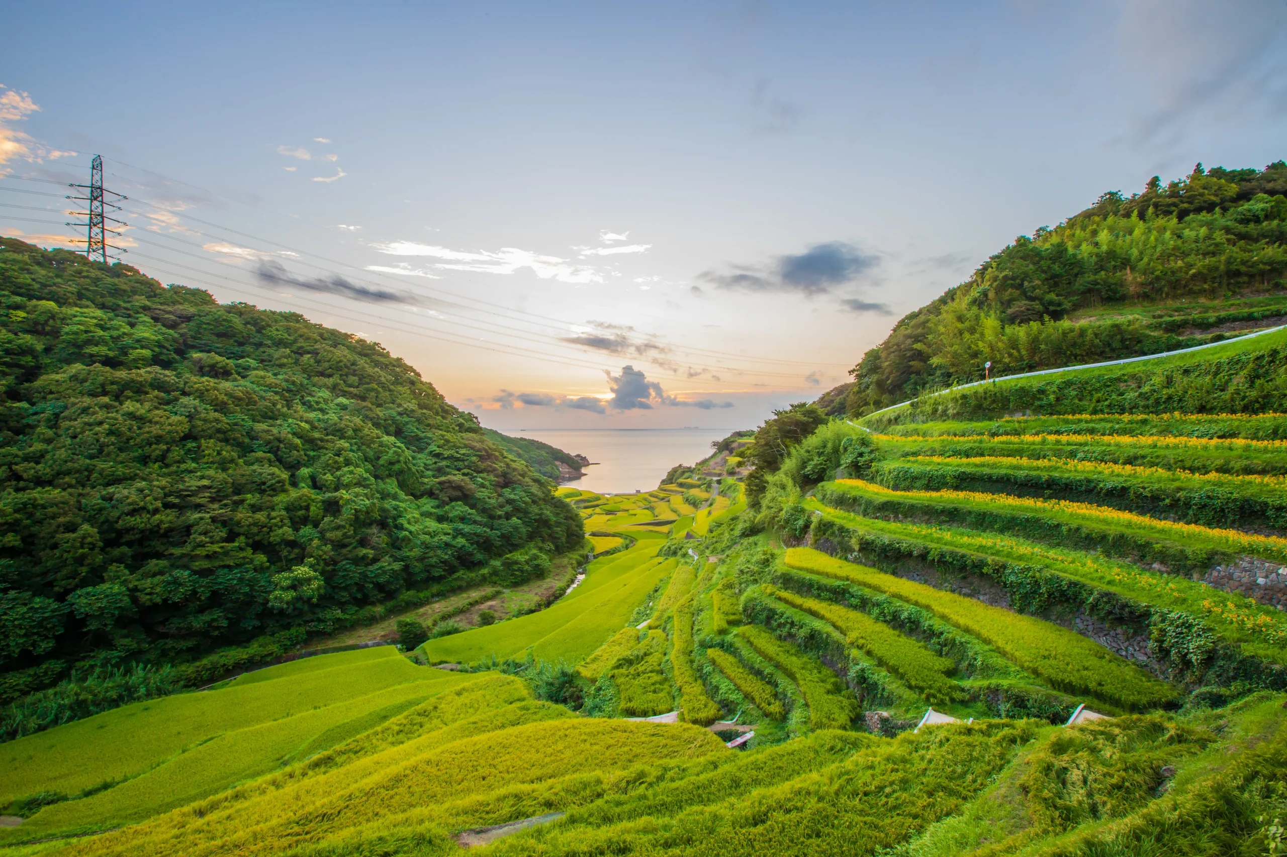 Green coastal rice terraces of Hamanoura Senmaida at sunset in Saga