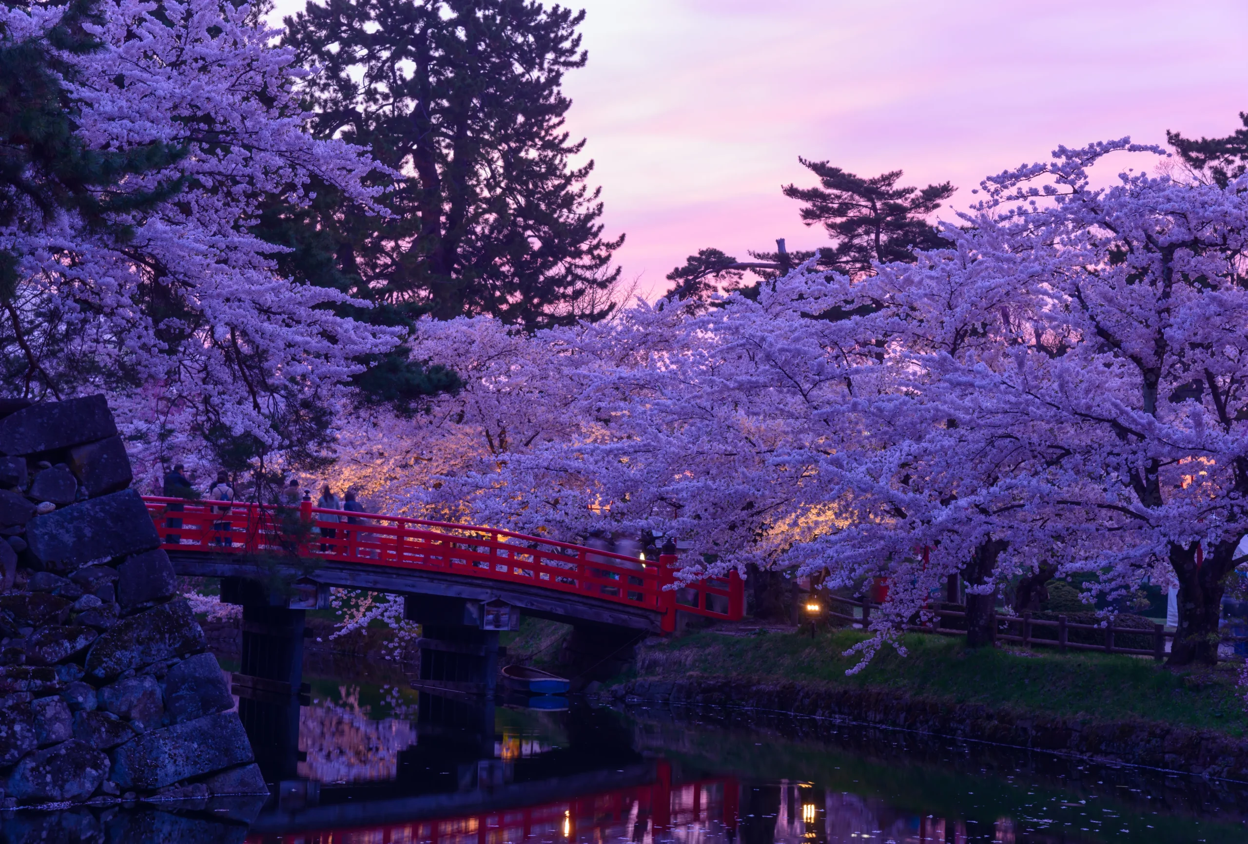 A picturesque scene of cherry blossoms in full bloom, with a traditional red bridge and a soft pastel sky at dusk.