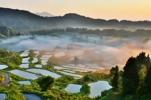 A stunning view of the Hoshitoge rice terraces at sunrise, with layers of mist hovering over the reflective fields and surrounding hills.