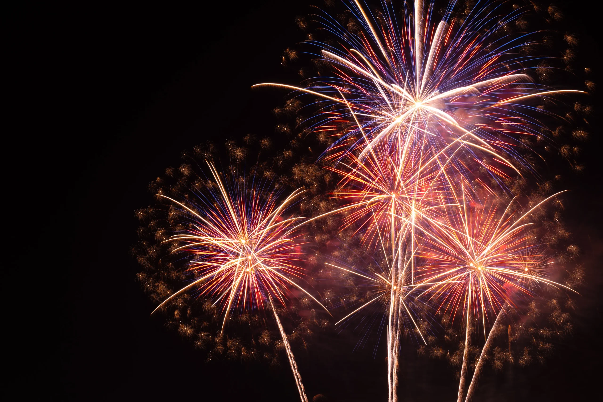 A close-up view of colorful fireworks bursting in intricate patterns against the dark night sky