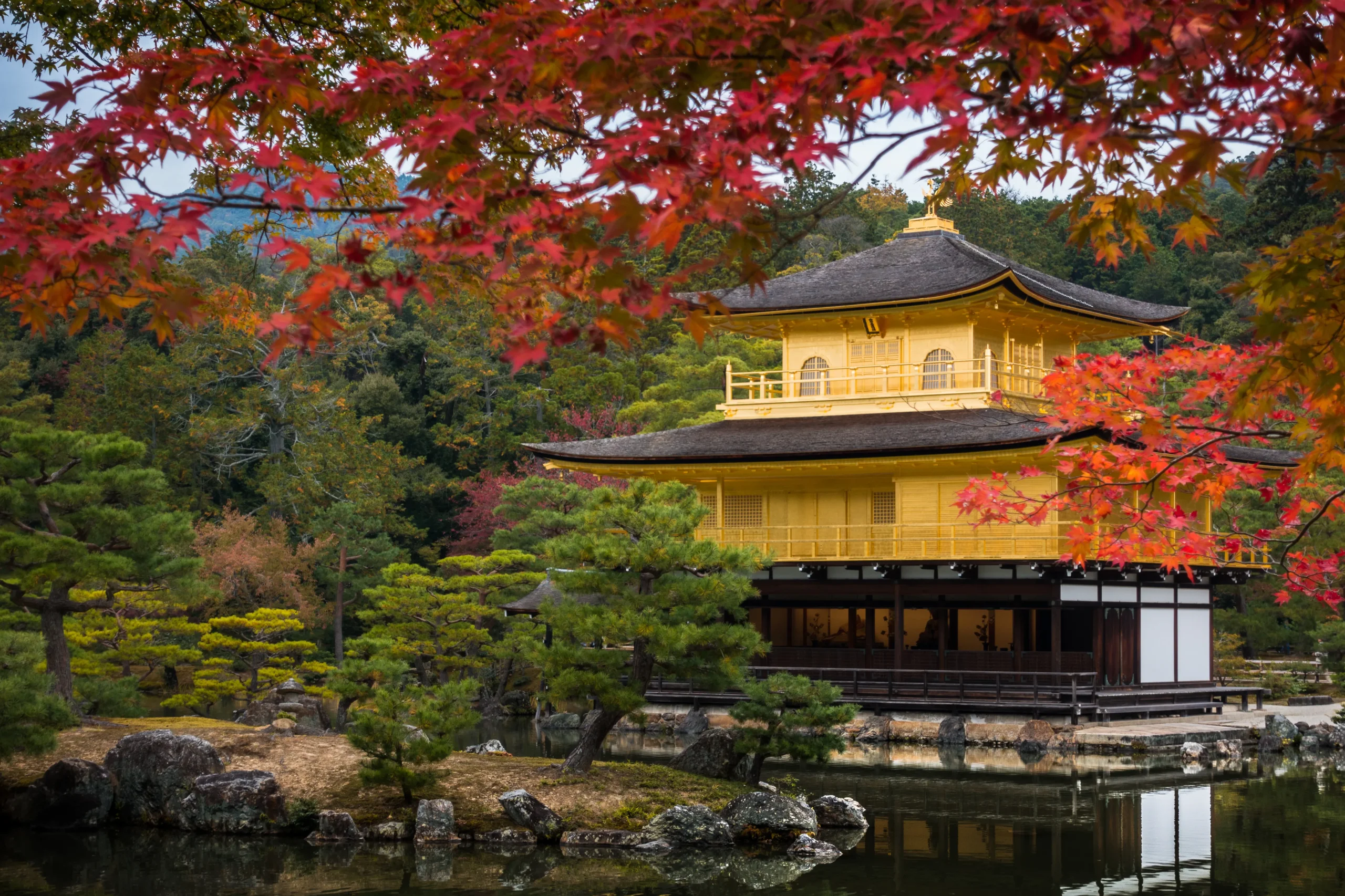 The Golden Pavilion in Kyoto, reflecting in a calm pond and framed by brilliant red autumn leaves and manicured trees.