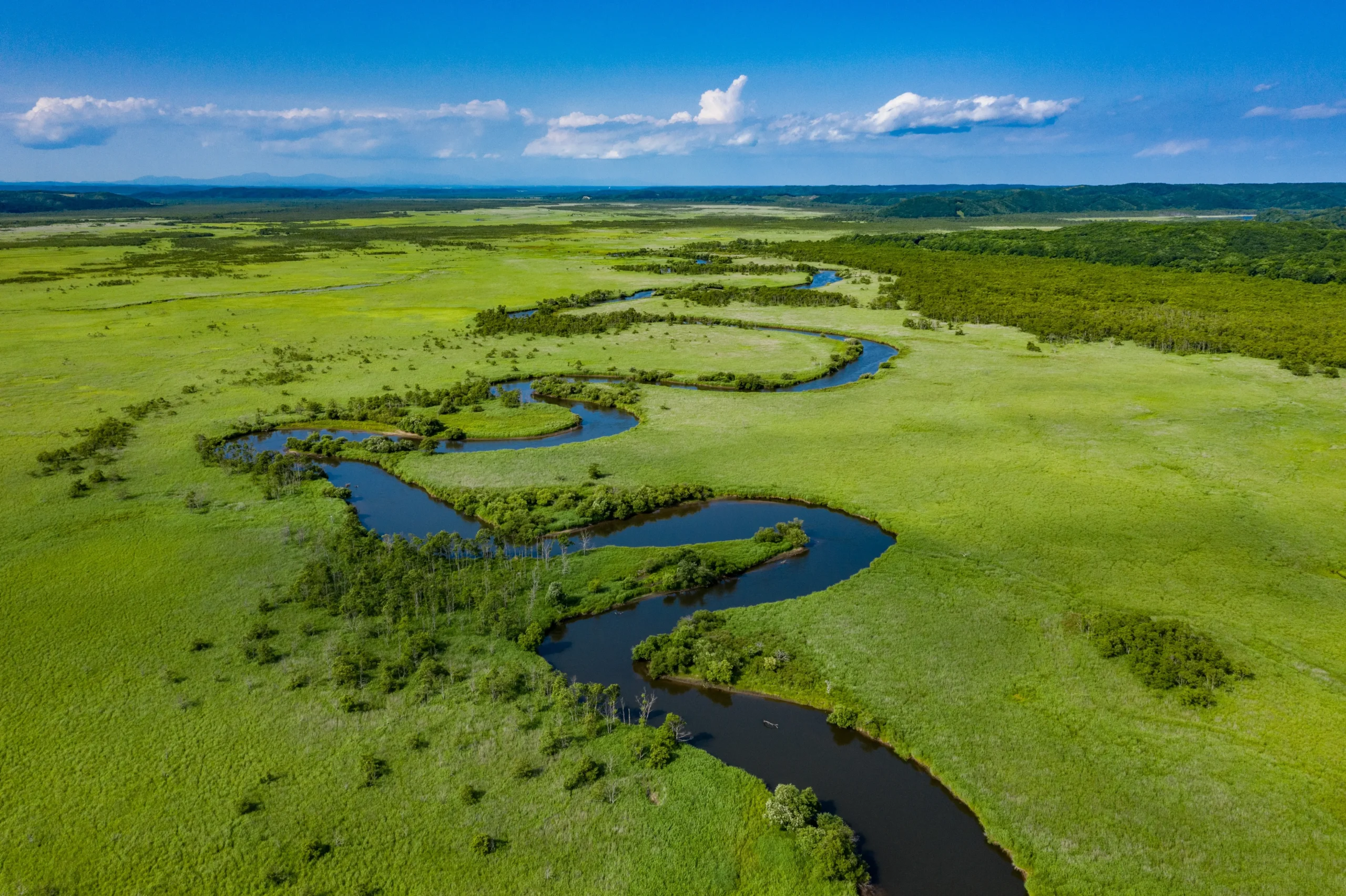 A detailed aerial perspective of the winding river in Kushiro Shitsugen, emphasizing its intricate curves and the surrounding vibrant greenery.