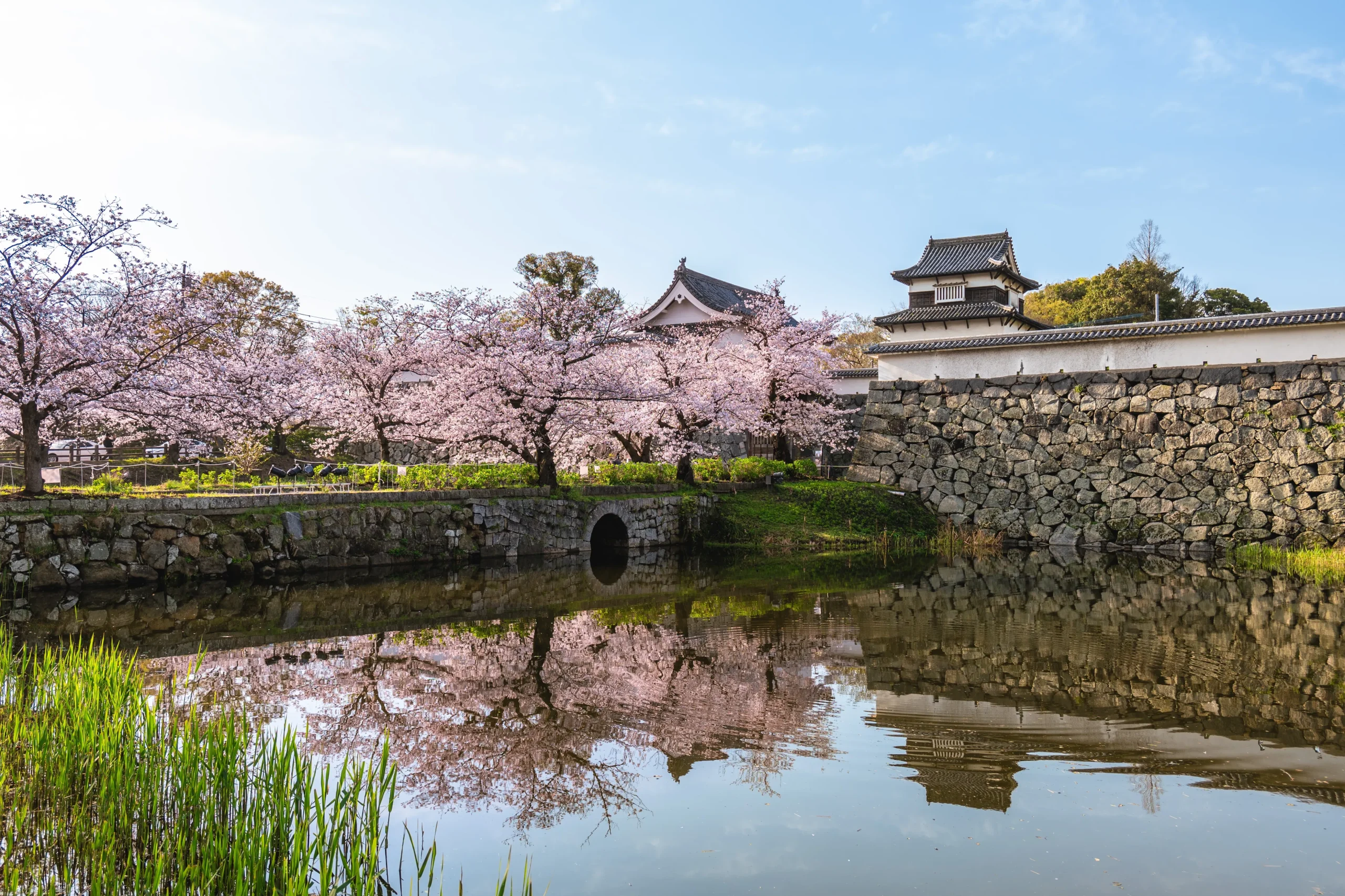 Cherry blossom trees surround a historical stone wall and traditional castle structures, reflected beautifully in the calm waters of the park's moat