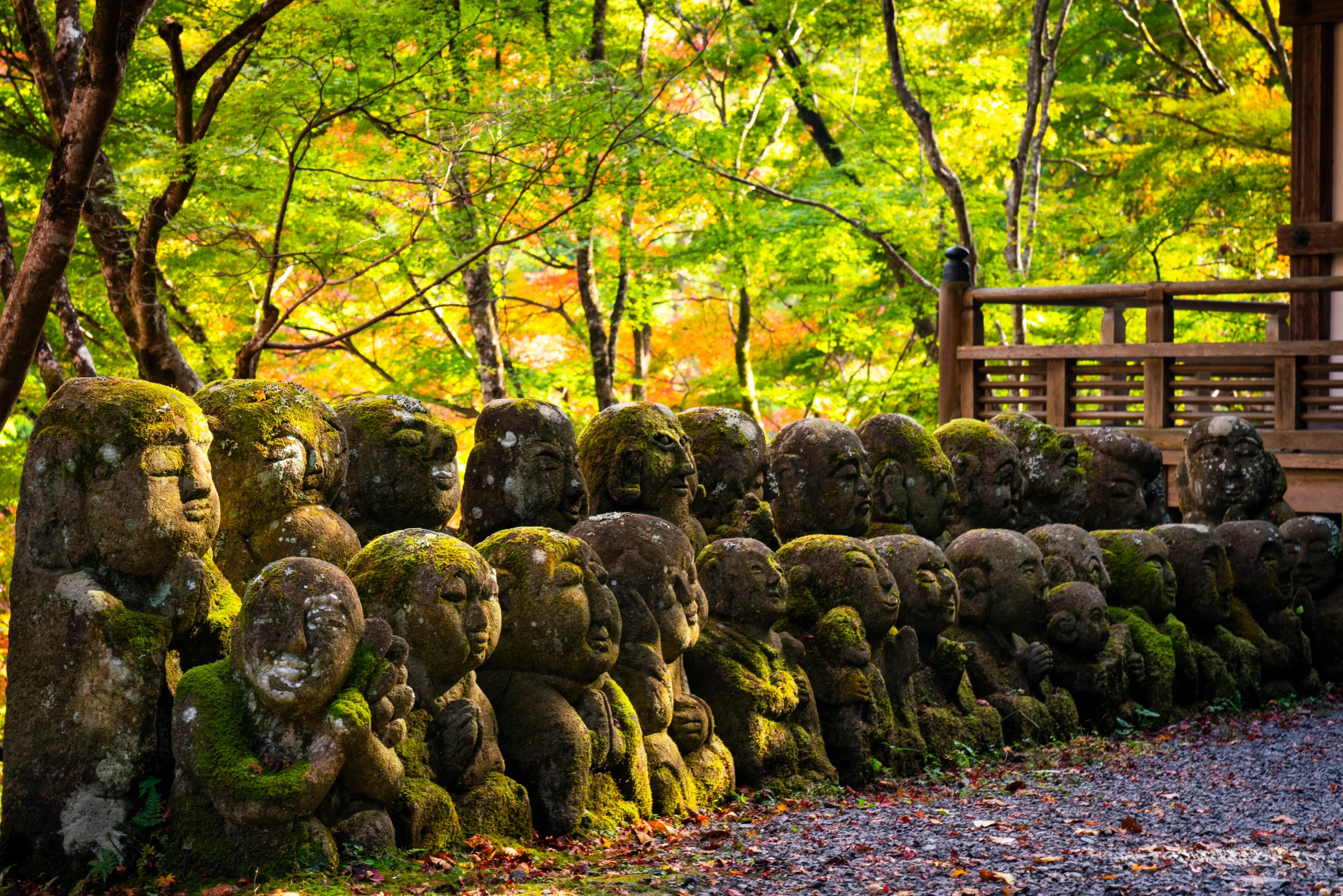Moss-covered stone statues of rakan (disciples of Buddha) lined up in the forest at Otagi Nenbutsu-ji Temple, surrounded by colorful autumn foliage.