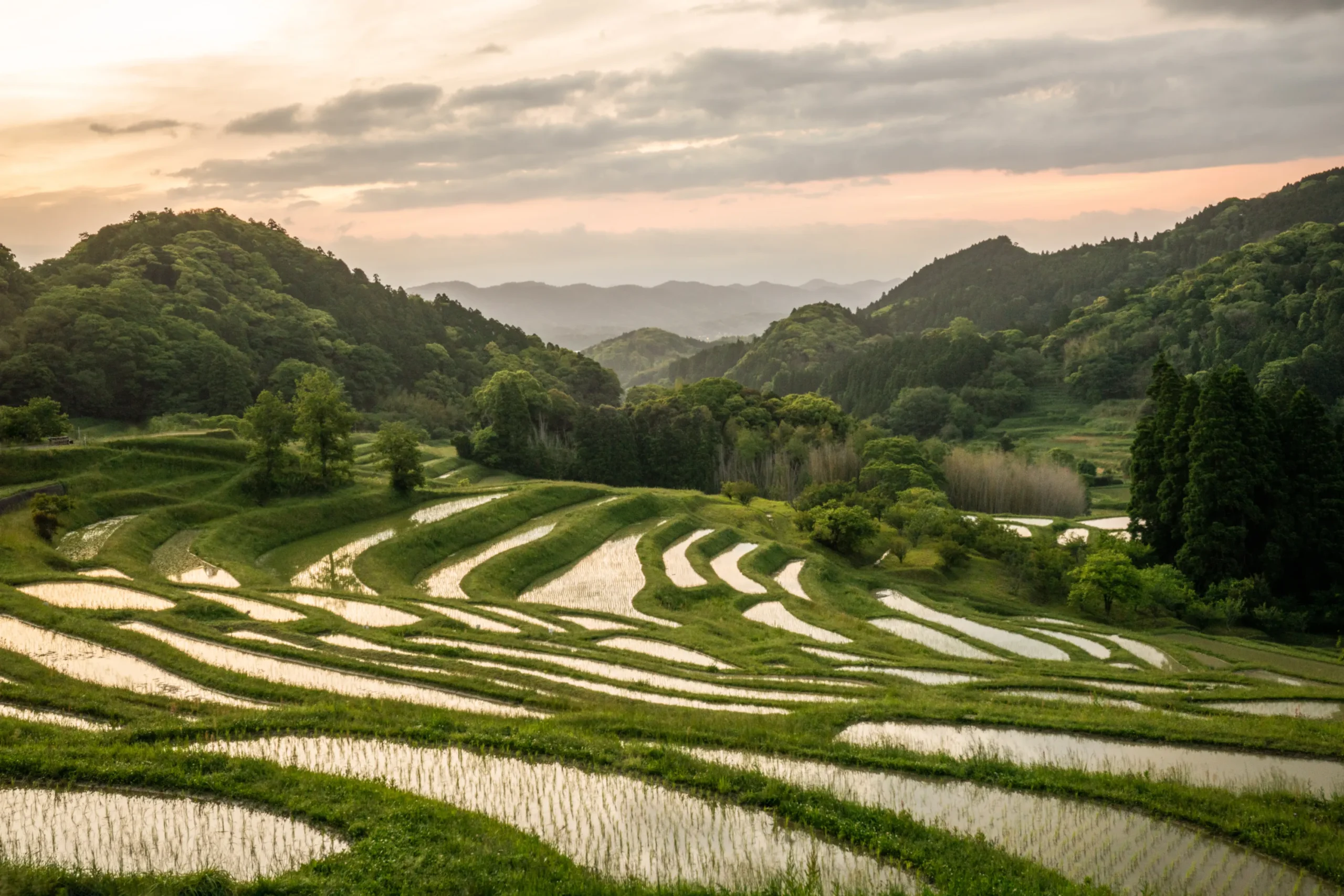 Oyama Senmaida Rice Terraces at Sunset