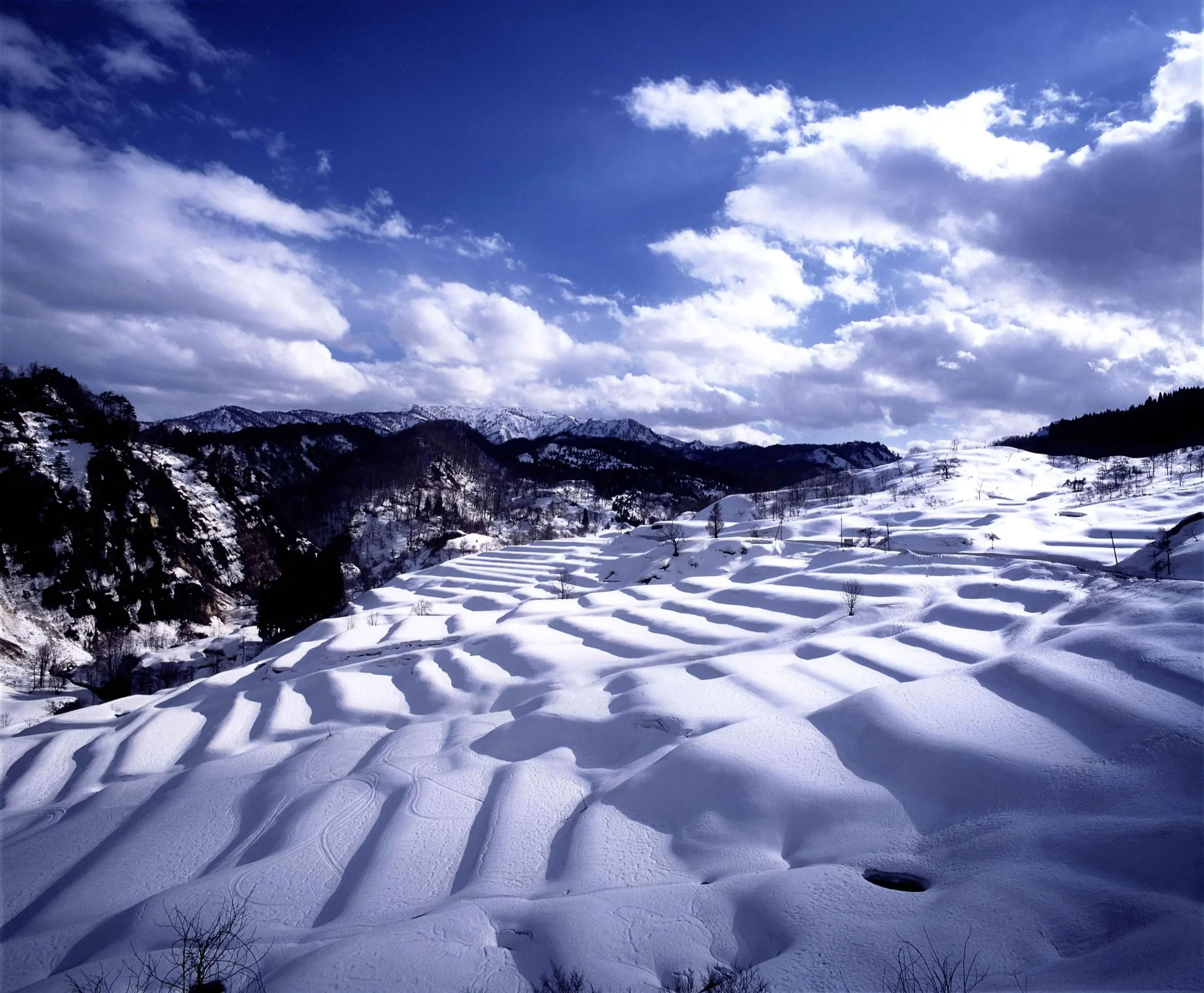 A winter wonderland scene of snow-covered rice terraces in Shikamura, Japan, with rolling white hills beneath a brilliant blue sky