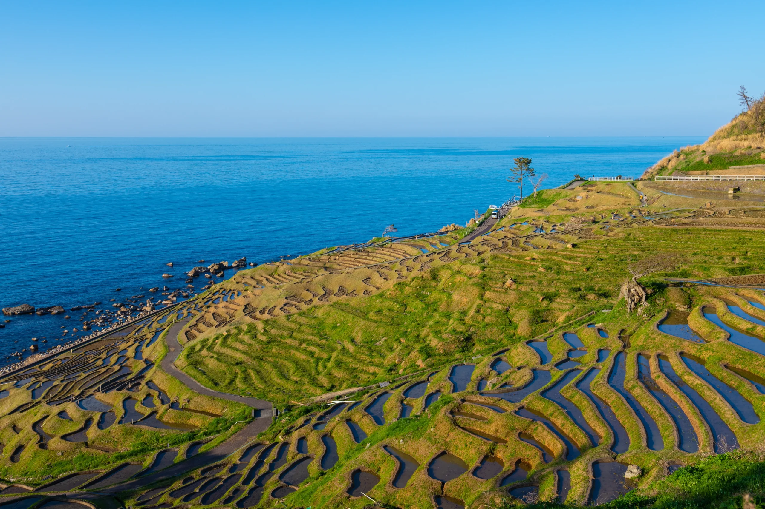 Shiroyone Senmaida rice terraces overlooking the blue sea on the Noto Peninsula