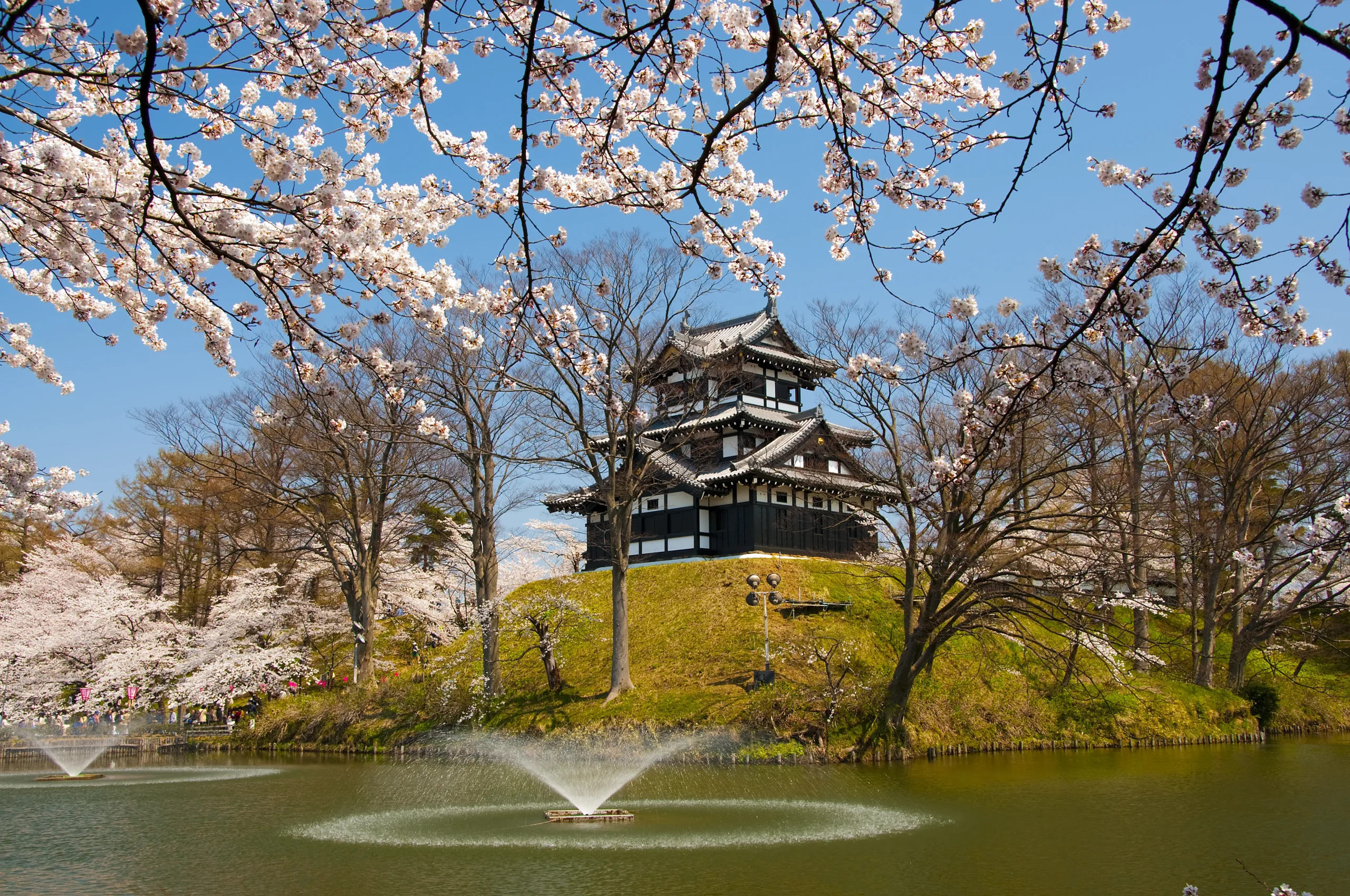 Takada Castle surrounded by cherry blossoms, with a tranquil pond and fountains enhancing the picturesque springtime scene