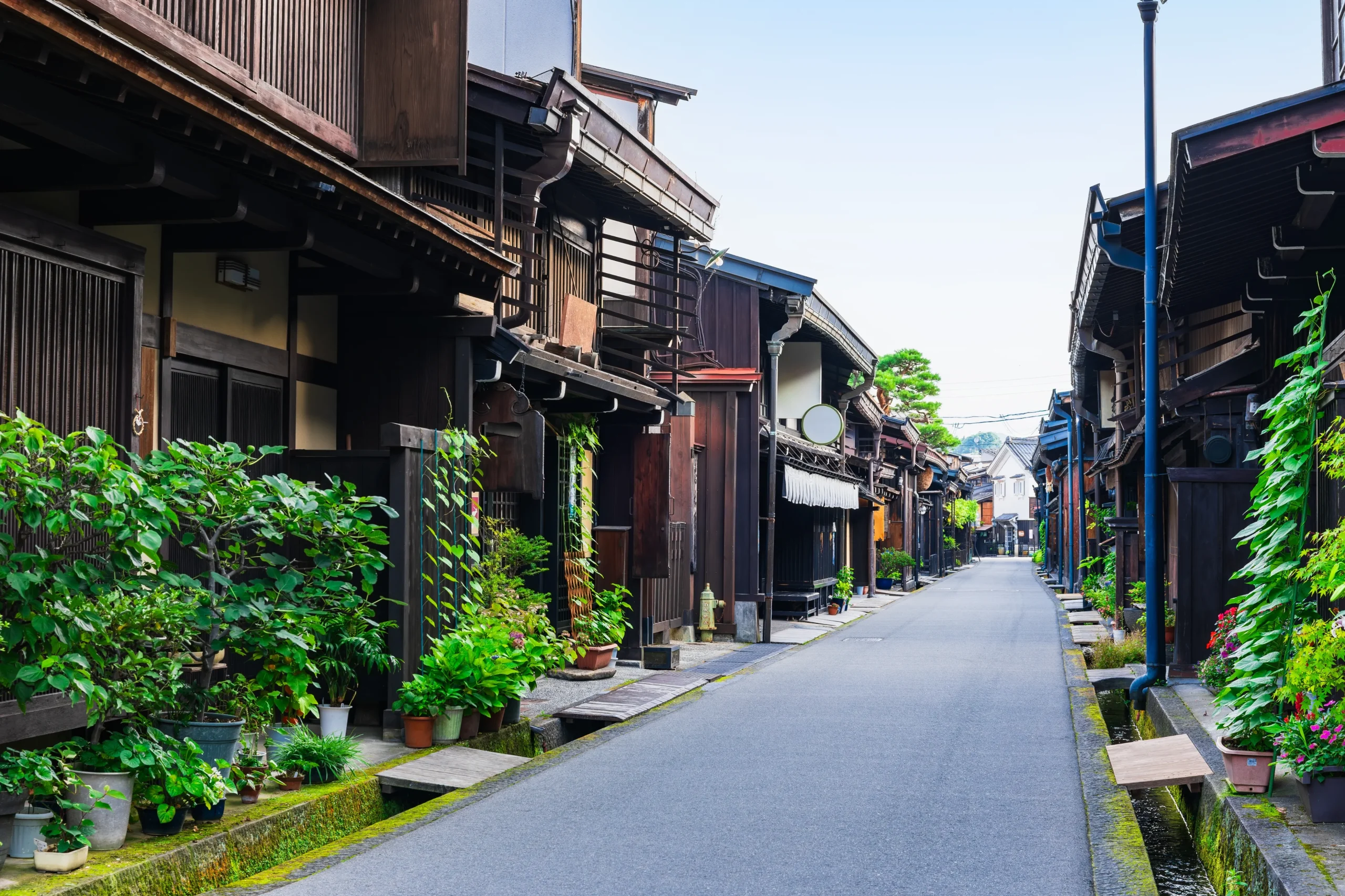 A vibrant old town featuring well-preserved wooden buildings and greenery-lined streets, showcasing traditional Japanese architecture in a serene setting.