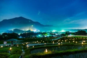 A magical night view of rice fields in Yokoze Town, illuminated by glowing lanterns with a backdrop of distant mountains and a softly lit town