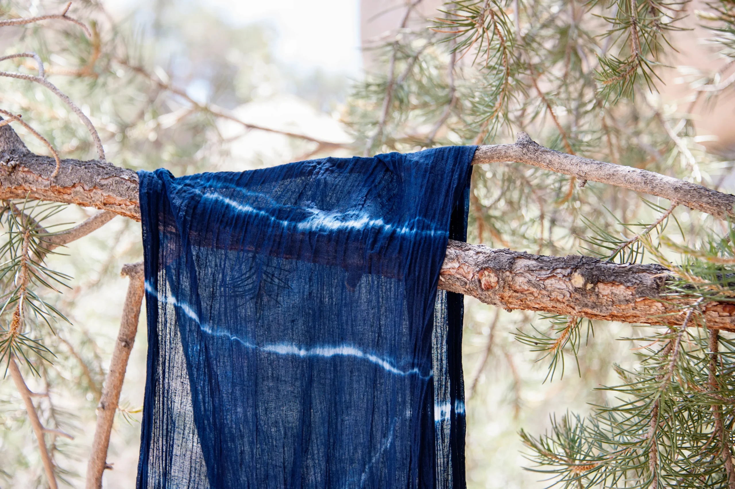 A deep blue indigo-dyed fabric hanging on a tree branch