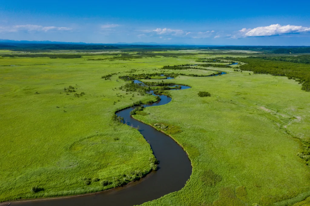 An aerial view of Kushiro Shitsugen, showcasing its vast green wetlands with a winding river cutting through the landscape under a bright blue sky.