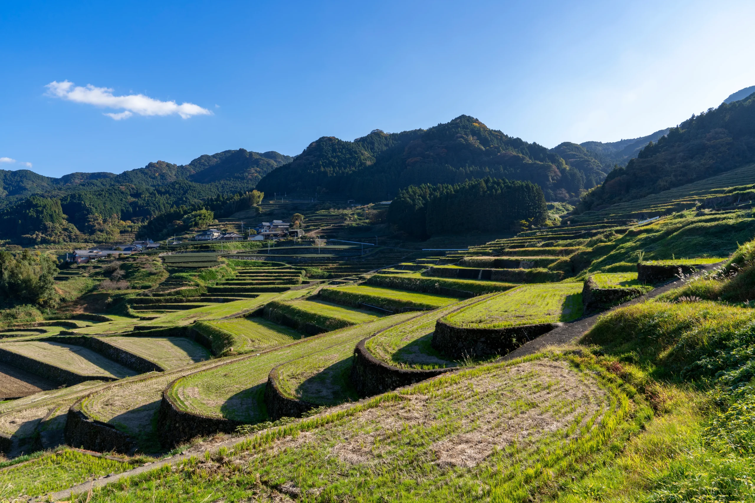 A wide view of terraced rice fields under a clear blue sky, with neatly lined fields cascading down the hillside, surrounded by forests and mountains