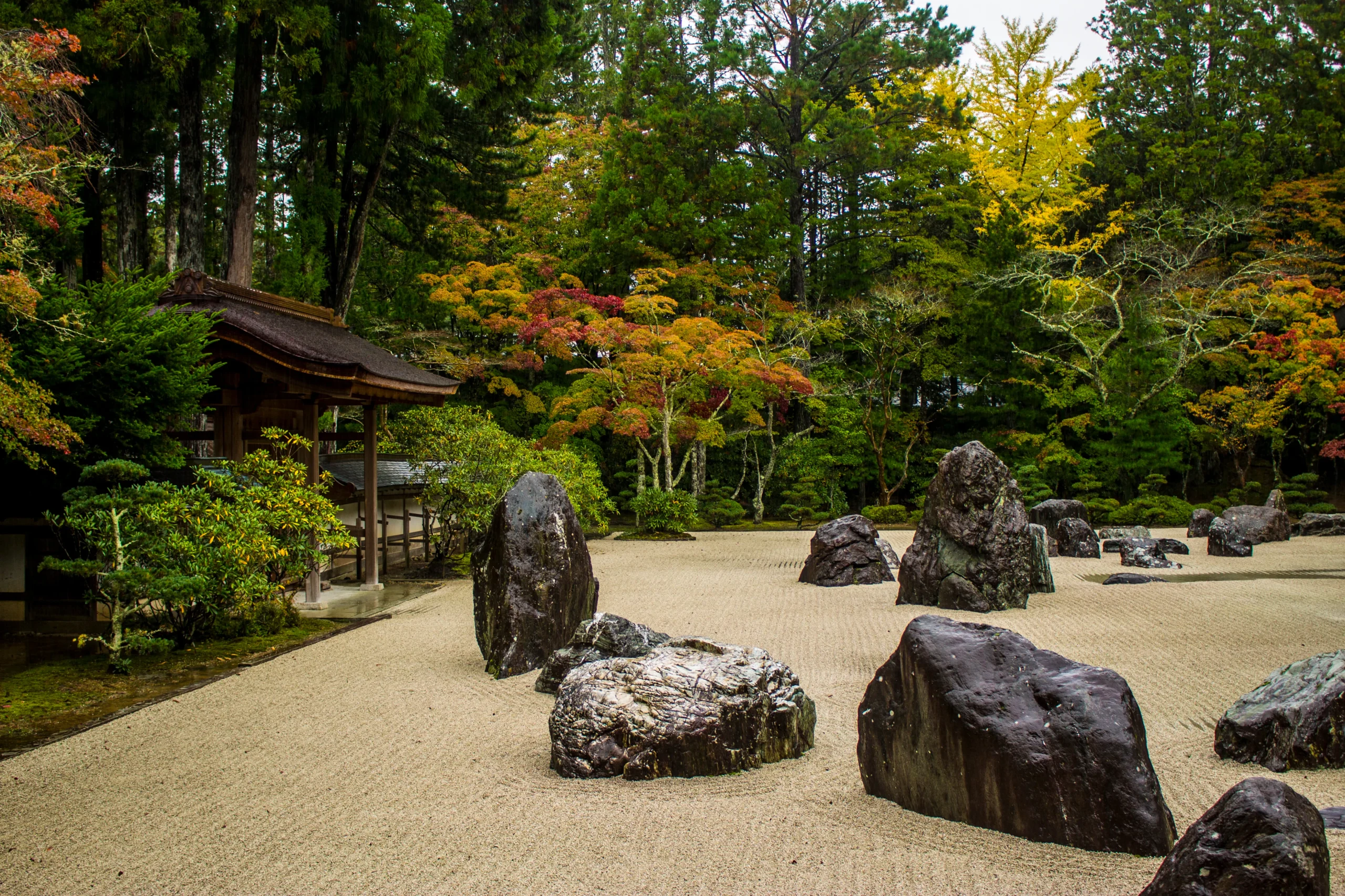 A serene Zen rock garden at a temple in Mount Koya, Japan, with carefully placed stones, raked gravel, and vibrant autumn foliage in the background.