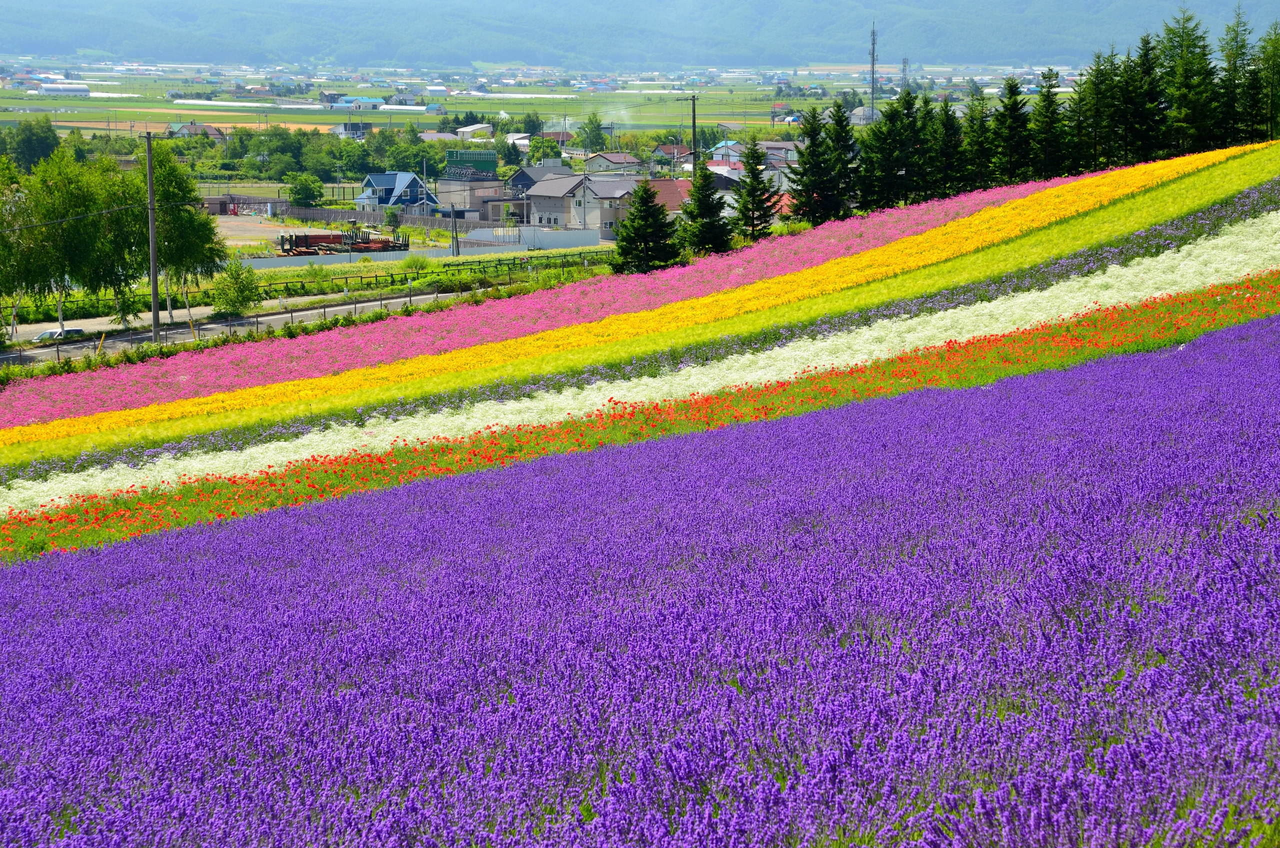 A scenic view of colorful flower fields at Farm Tomita in Furano, Hokkaido, with rows of lavender, yellow, pink, and white flowers set against a backdrop of rolling hills and a rural village.