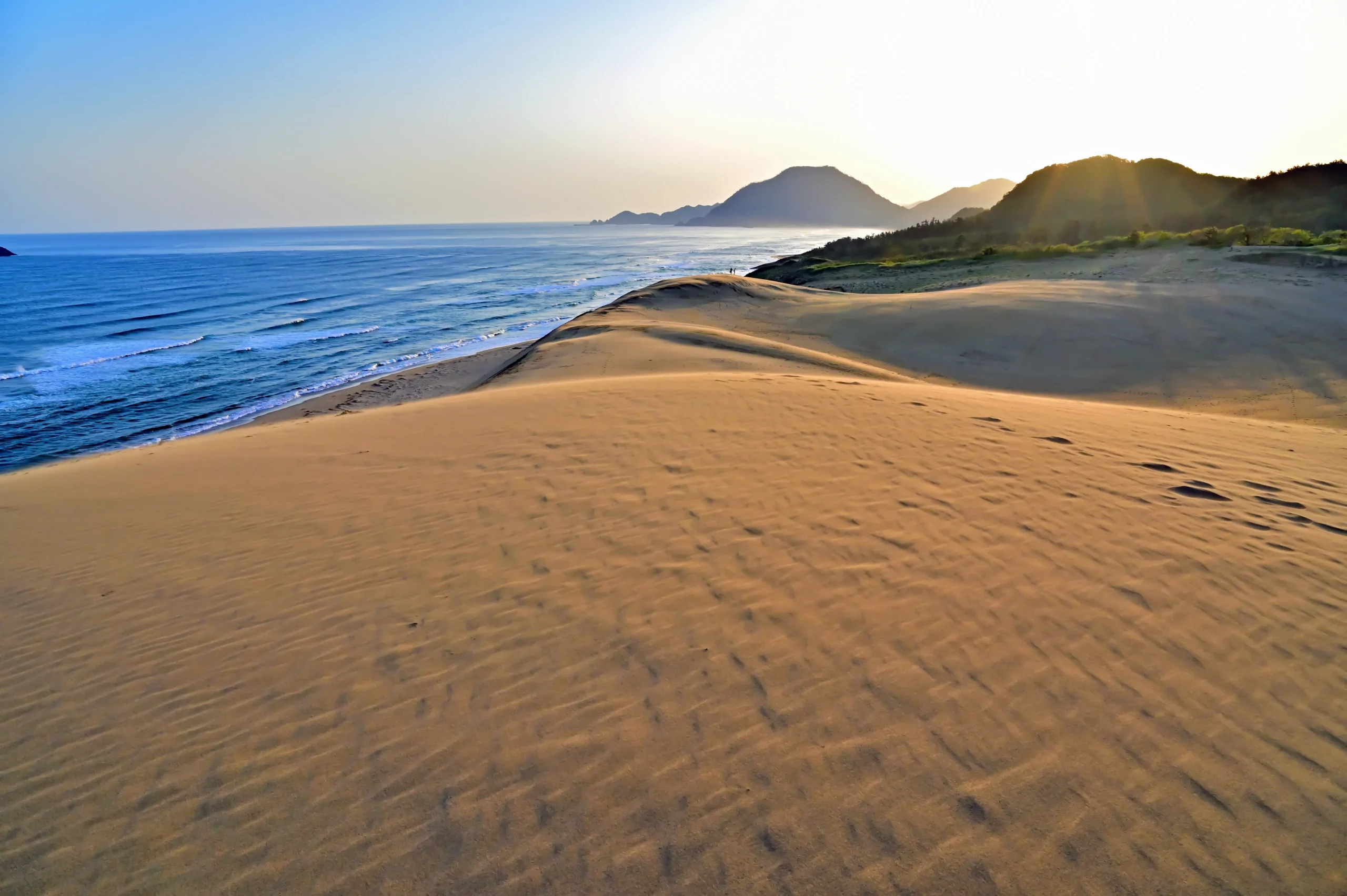 Rolling sand dunes along the coast with sweeping ocean views, located in Tottori Prefecture, Japan.