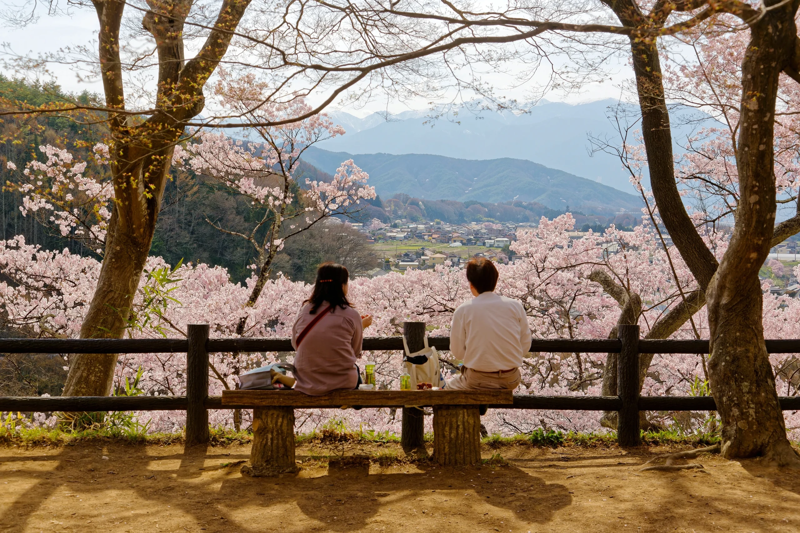 Hanami viewing spot overlooking cherry blossoms and mountains in Nagano, Japan