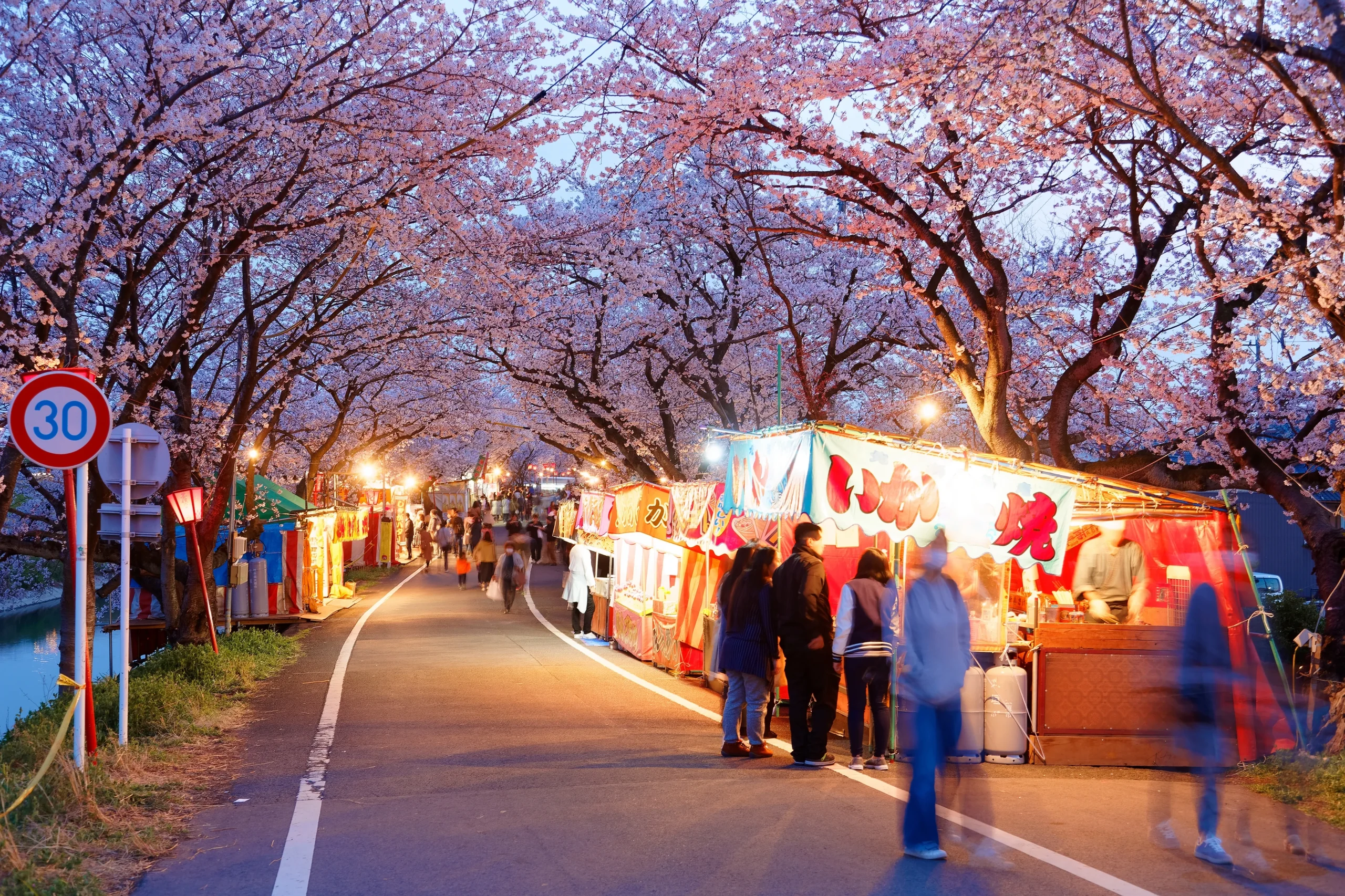 A lively market under illuminated cherry blossoms, with food stalls and visitors enjoying the festive atmosphere.