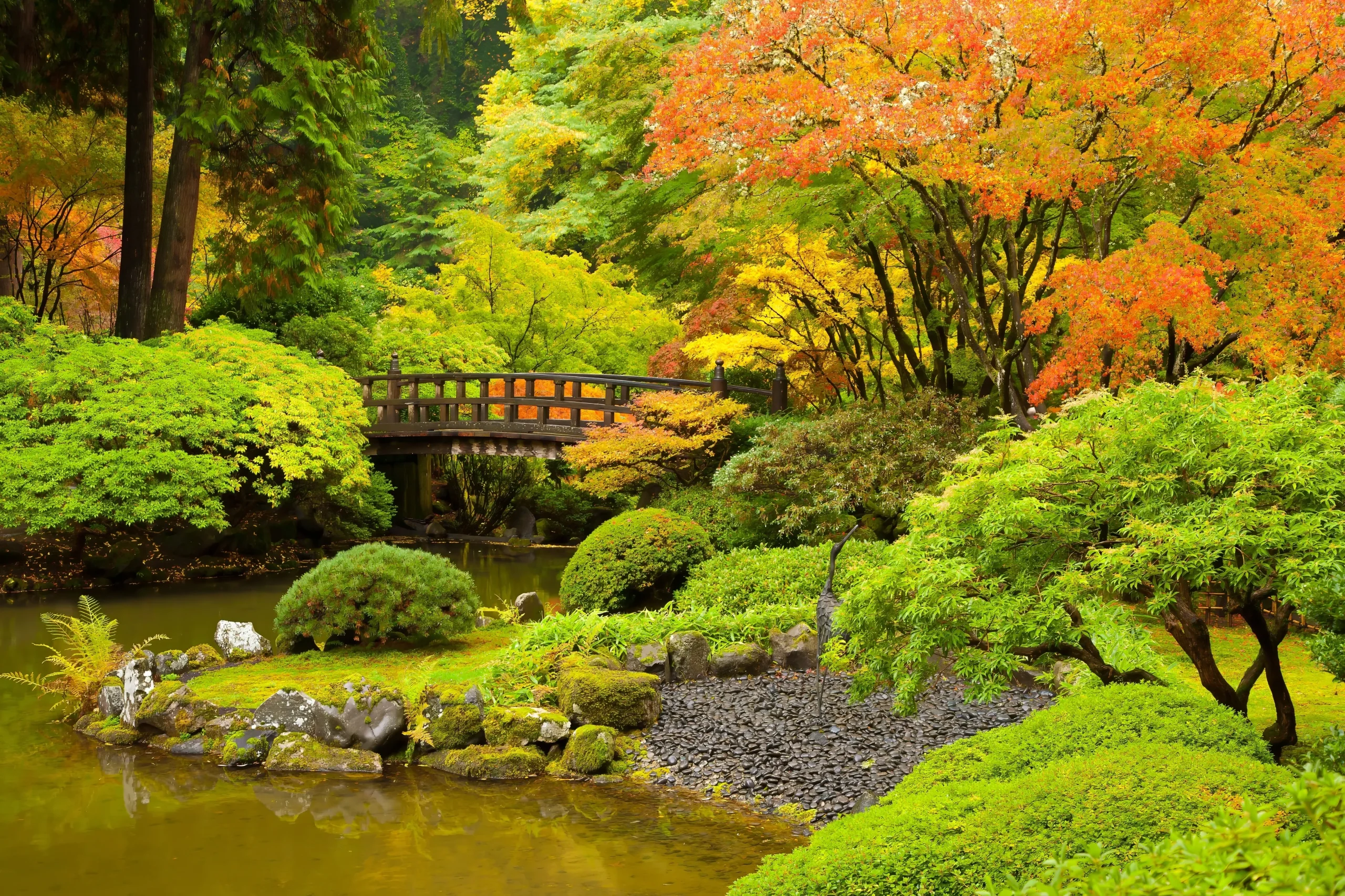 A serene Japanese garden in autumn, featuring a pond, a wooden bridge, and trees with vibrant red, orange, and green foliage