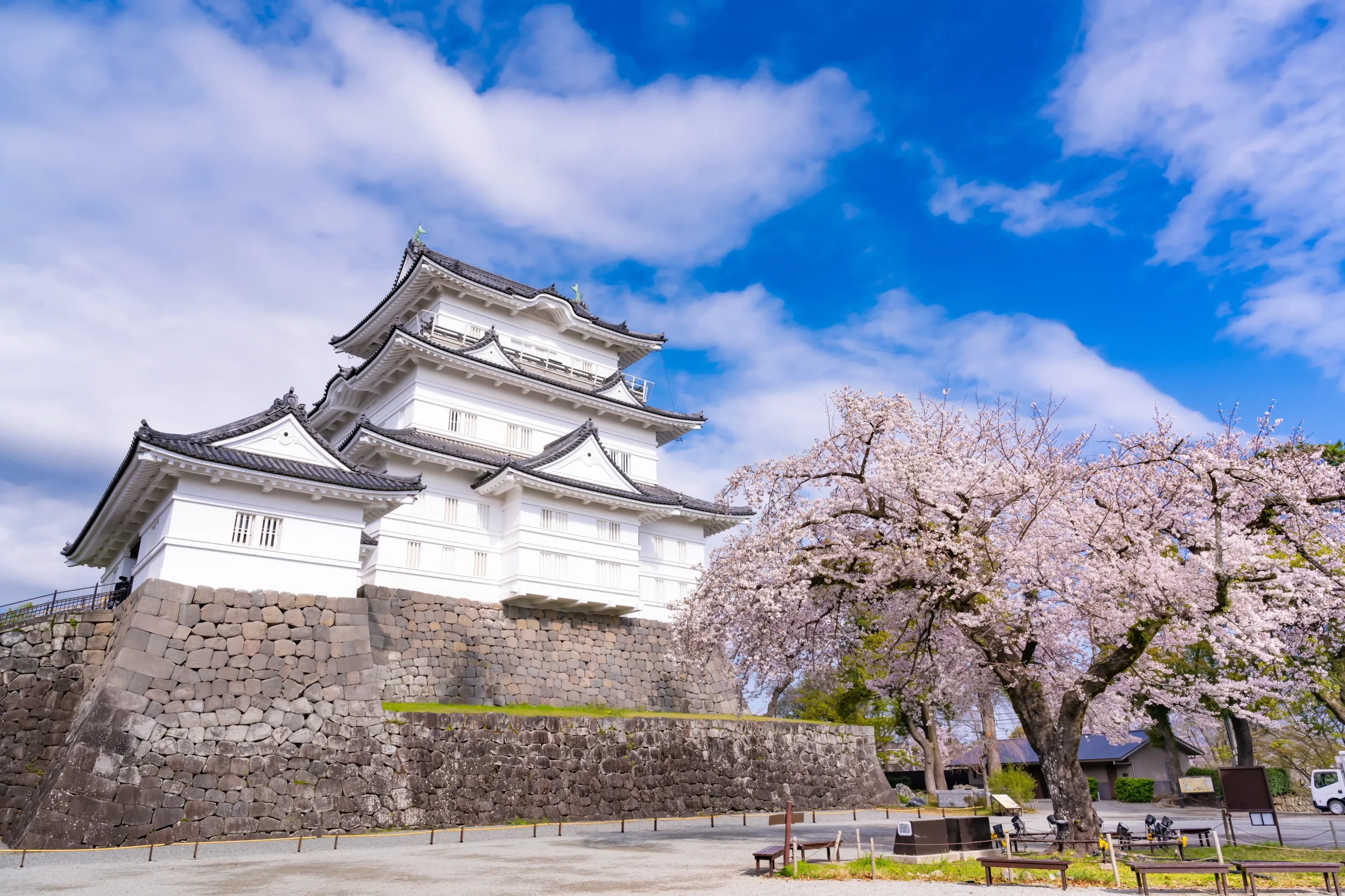 The white-walled Odawara Castle standing against a blue sky, surrounded by blooming cherry trees.