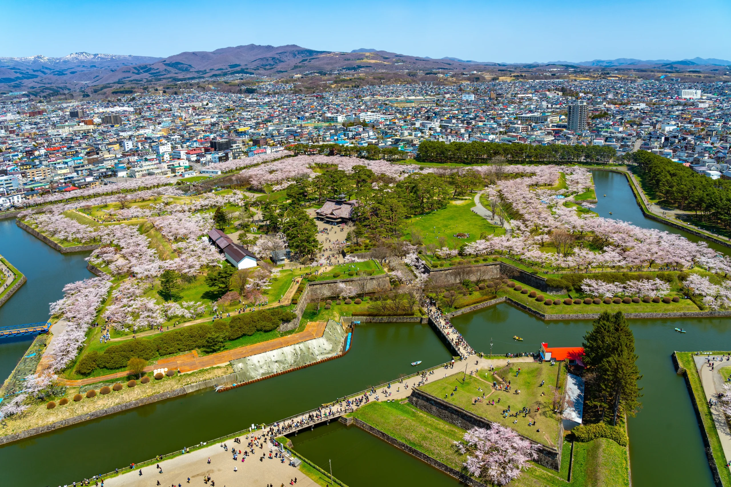 A panoramic view of Goryokaku Park in Hakodate, Hokkaido, showing cherry blossom trees in full bloom, the star-shaped fort surrounded by water, and the cityscape in the background