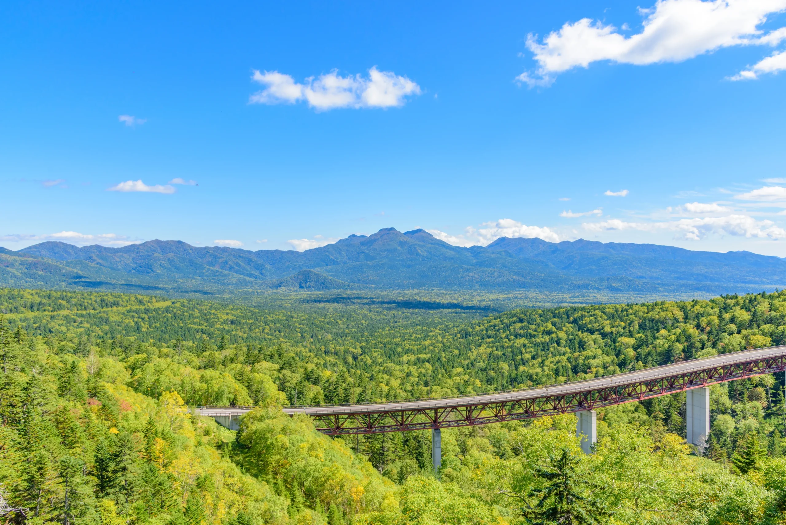 Scenic view from Mikuni Pass overlooking a vast forested valley and mountain range under a clear blue sky.