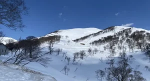 A panoramic view of the snow-covered mountains and sparse trees at Gassan Ski Resort in Yamagata.
