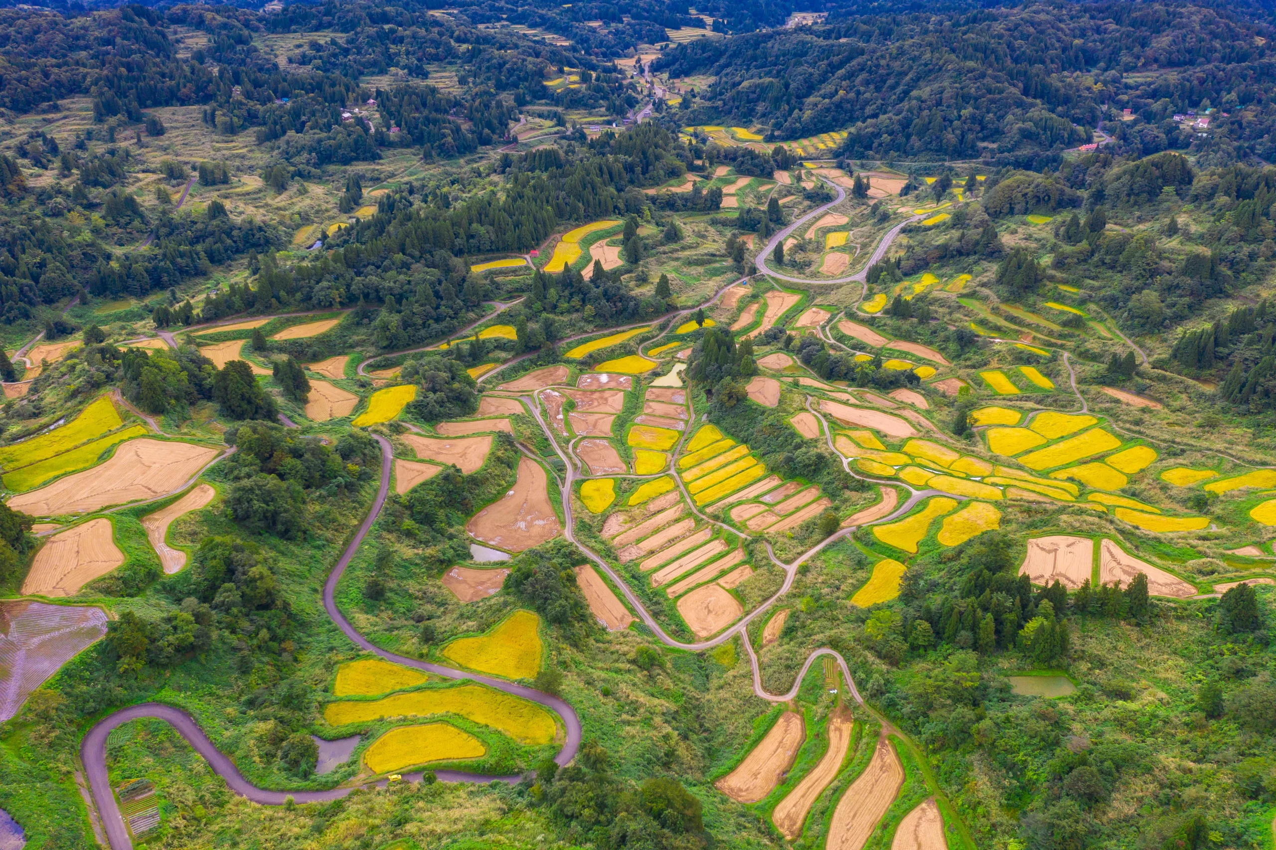 Scenic aerial view of Hoshitoge Rice Terraces in Niigata, Japan