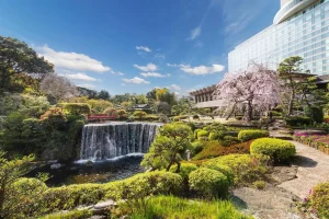 Lush Japanese garden with a waterfall, cherry blossoms, and traditional landscaping at Hotel New Otani Tokyo.