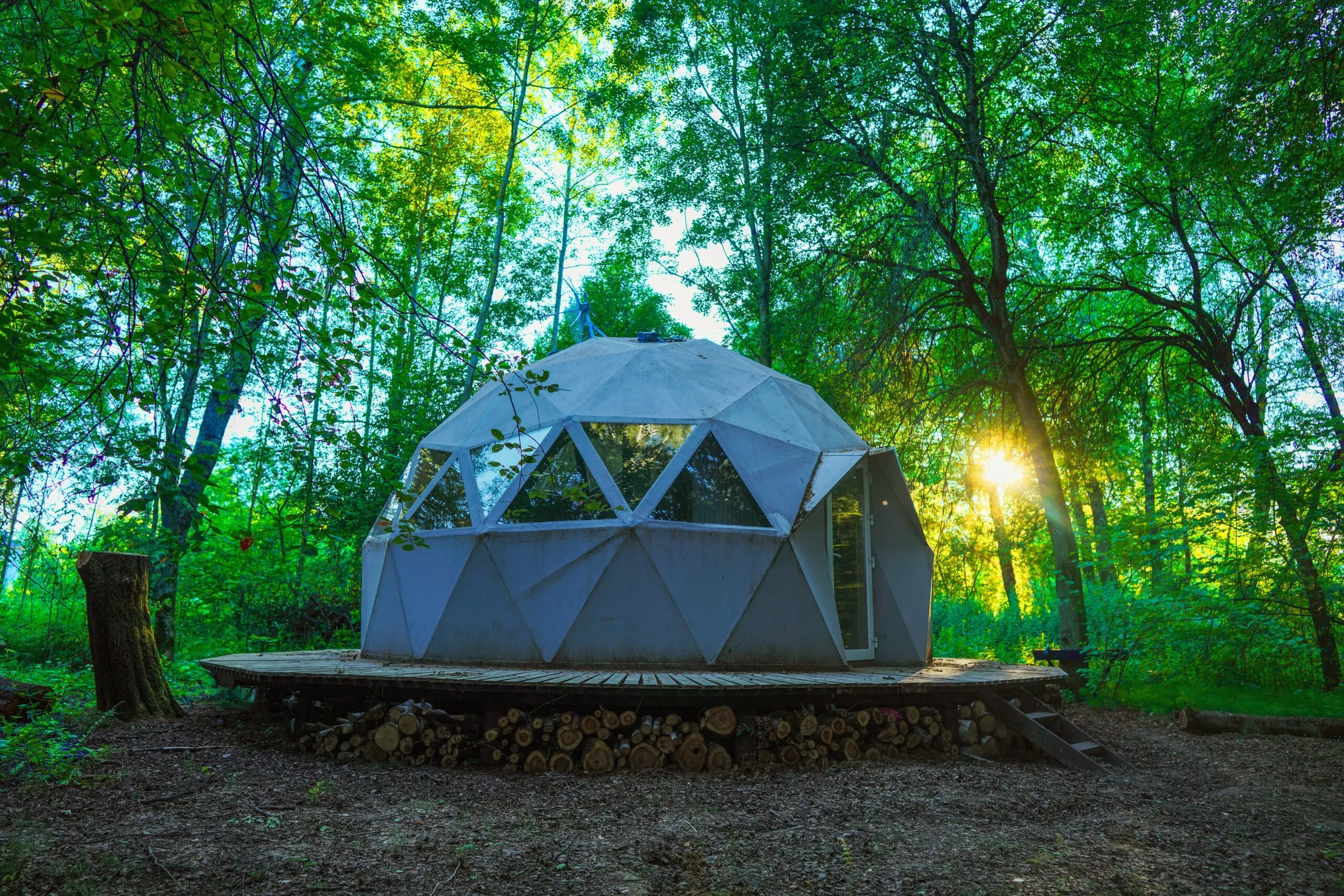 A geodesic dome-style glamping tent surrounded by lush green forest and morning sunlight streaming through the trees.