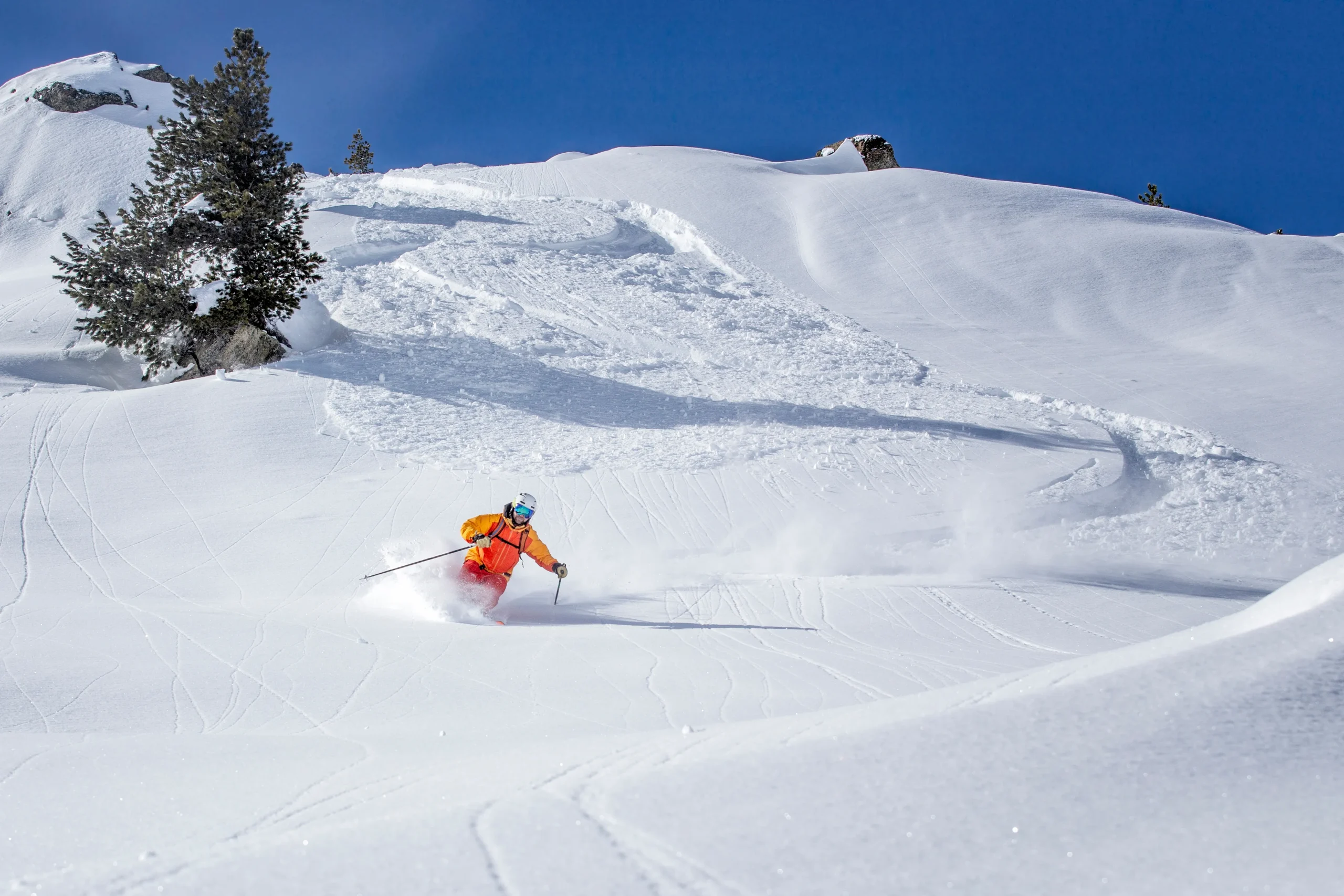 Skier carving through fresh powder snow on a sunny day at a Japanese ski resort