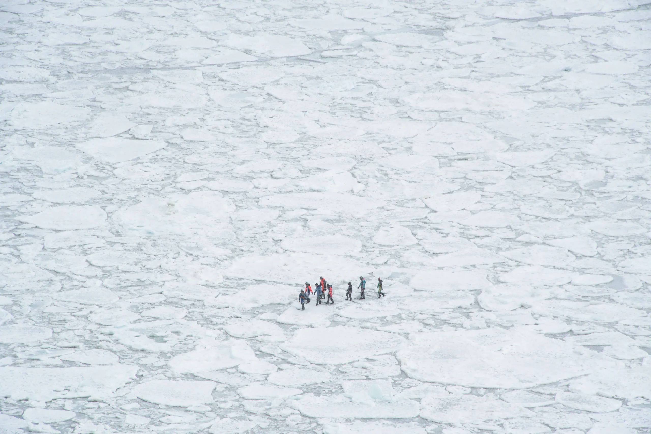 Tourists walking on drift ice during guided winter tour in Shiretoko, Hokkaido