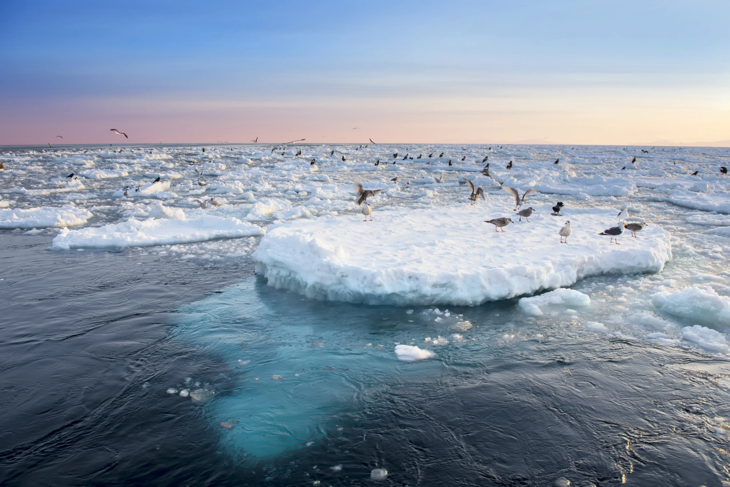 Drift ice floating on the Sea of Okhotsk under pastel sunset near Shiretoko, Hokkaido