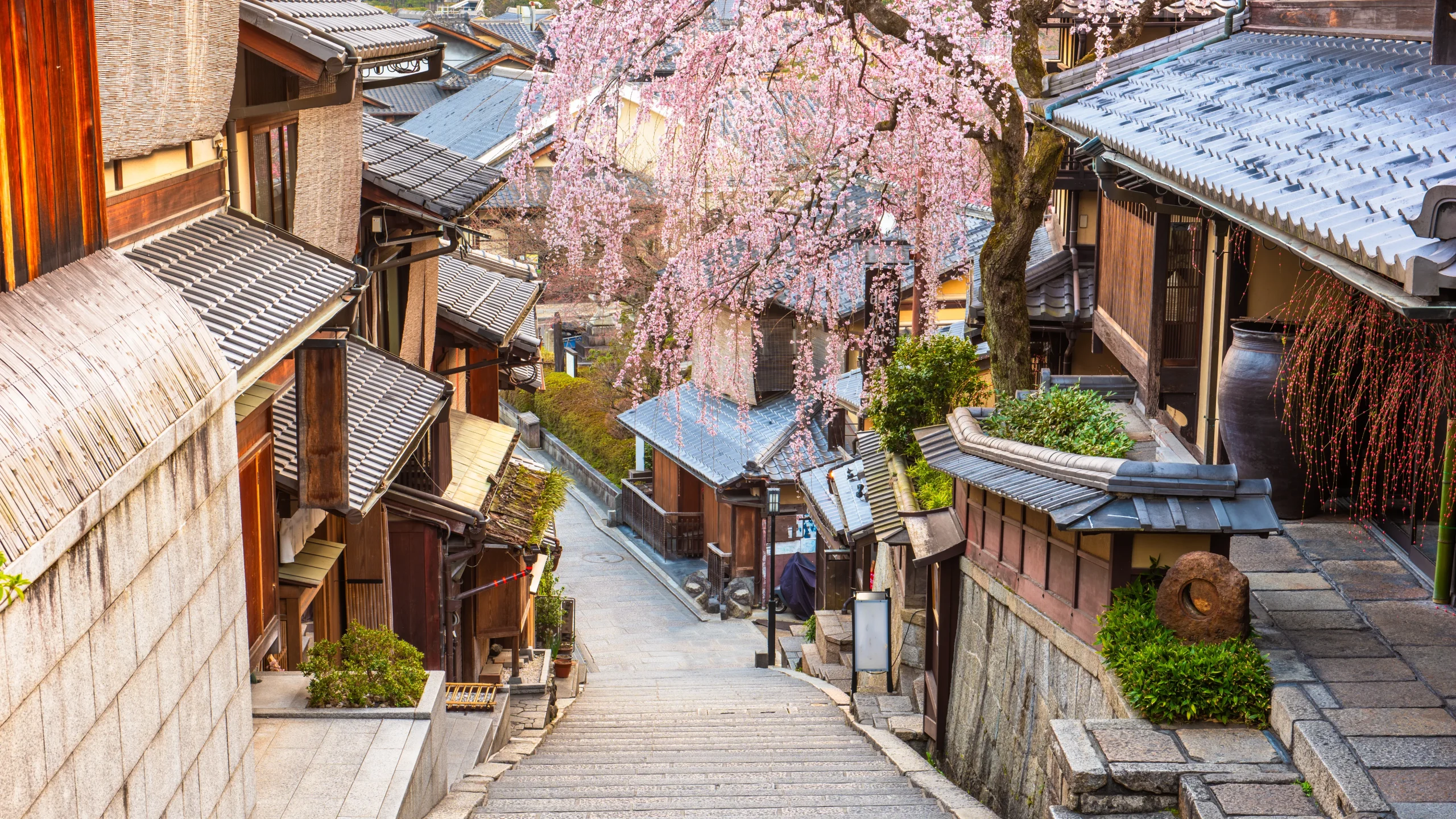 Traditional wooden houses and stone steps in Ninenzaka, Kyoto with spring blossoms