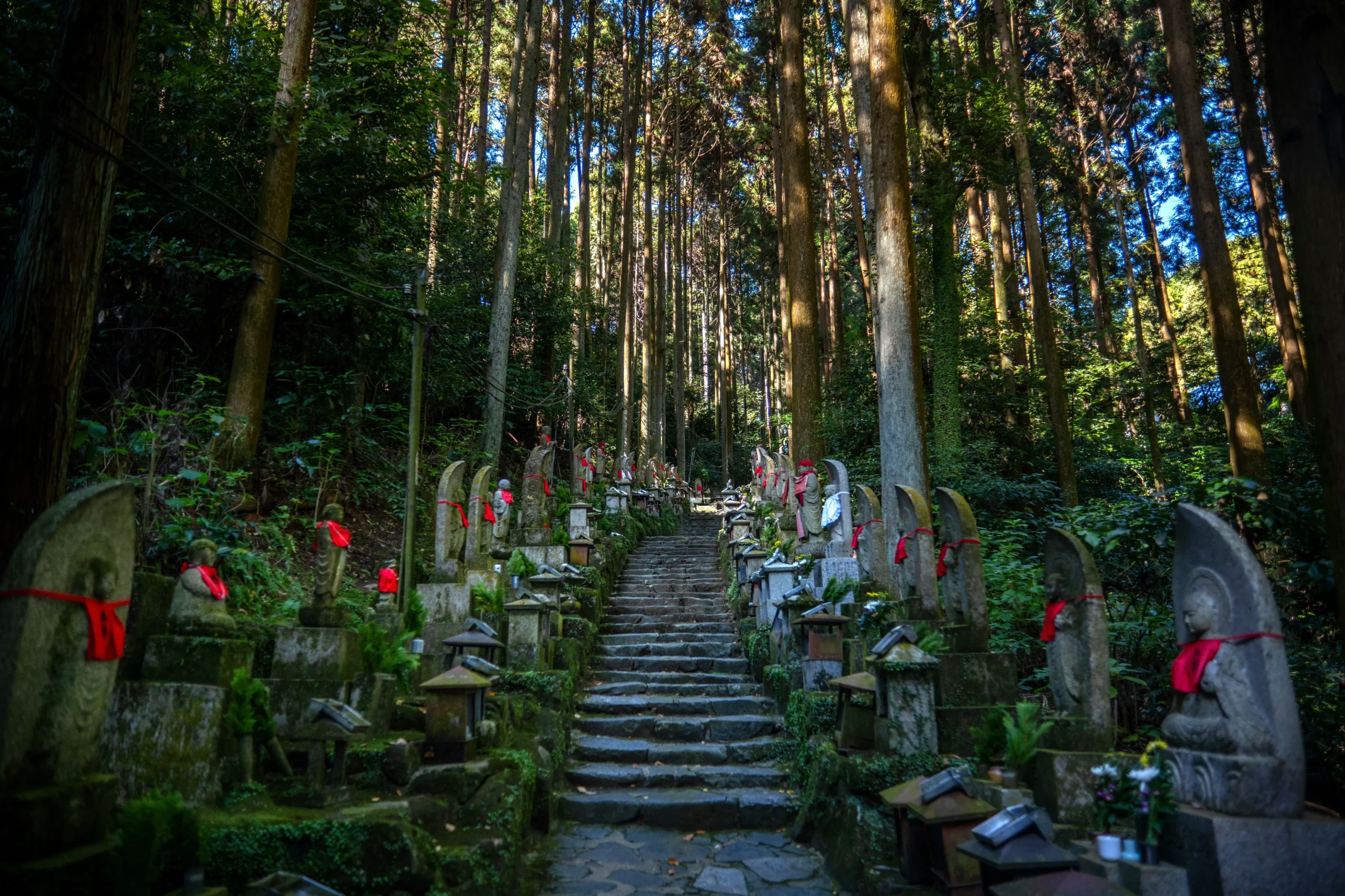 Stone statues and lanterns line the mossy path at Okunoin Cemetery in Koyasan forest