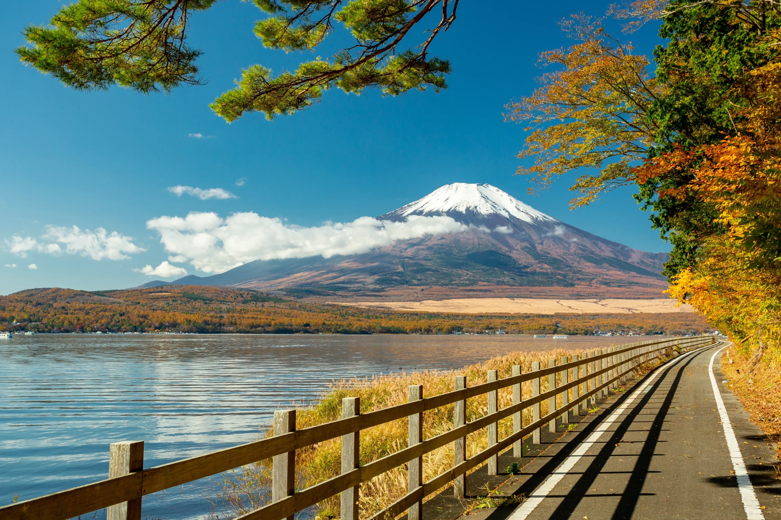Mount Fuji view from Lake Yamanaka cycling road in summer, Yamanashi, Japan
