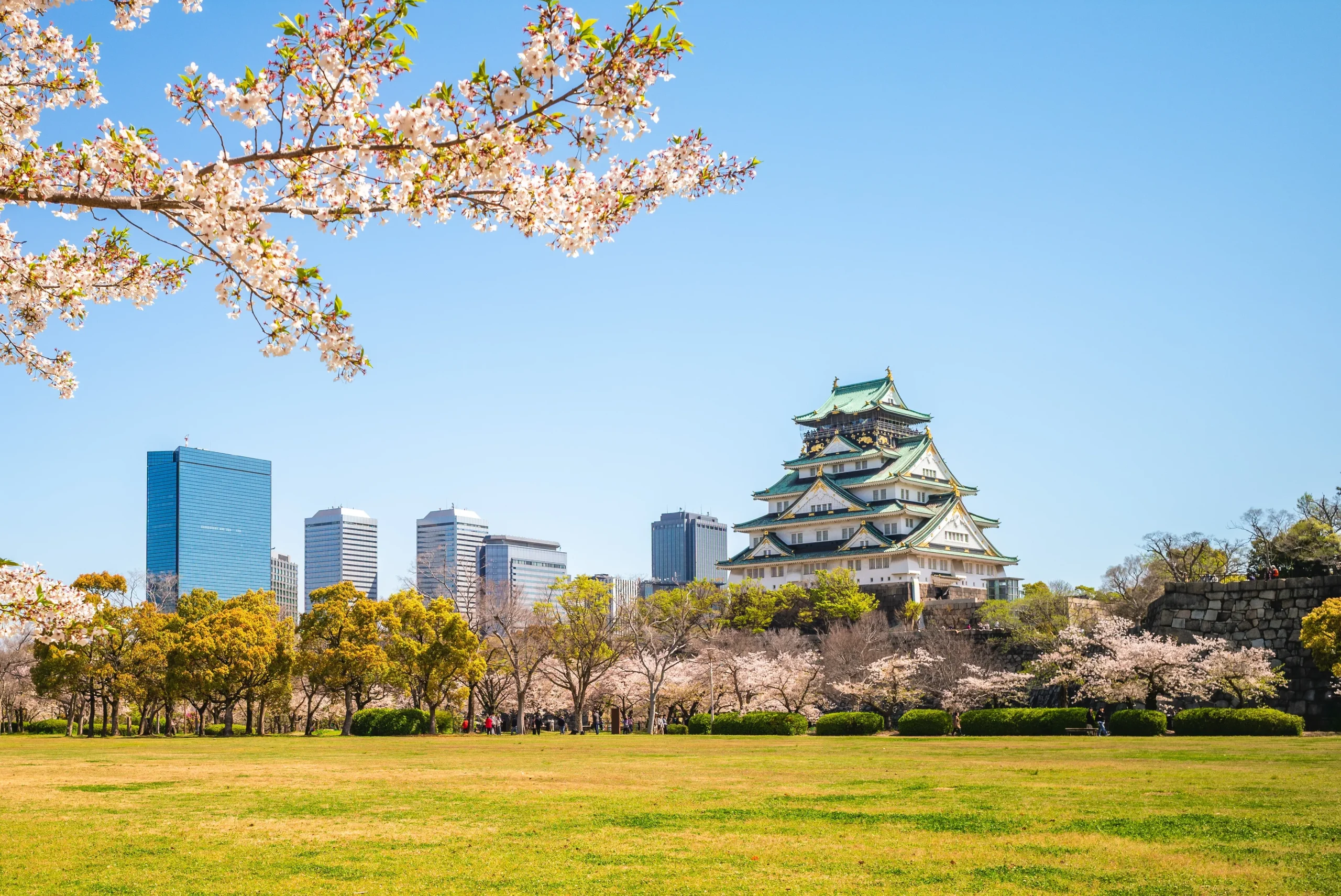 Osaka Castle with cherry blossoms and city skyline in spring