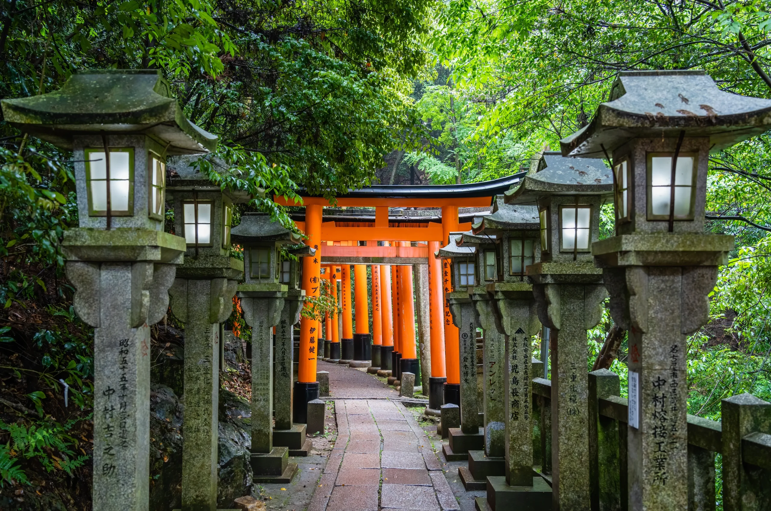 Stone lanterns and orange torii gates at Fushimi Inari Shrine in Kyoto forest.