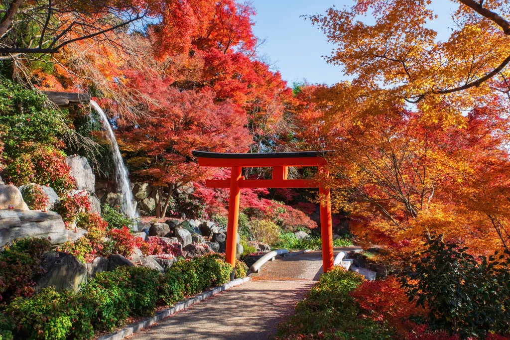 Red torii gate at Katsuoji Temple in Osaka surrounded by vivid autumn maple leaves and waterfall scenery