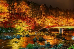Korankei Valley in Aichi glowing with illuminated autumn leaves and riverside scenery at night