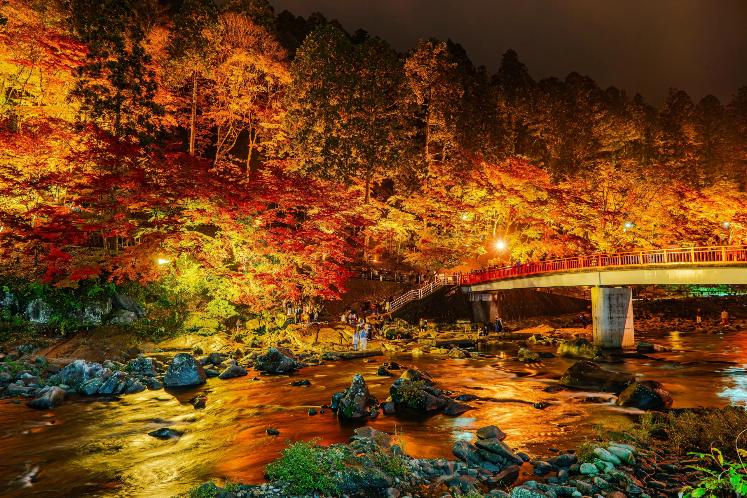 Korankei Valley in Aichi glowing with illuminated autumn leaves and riverside scenery at night