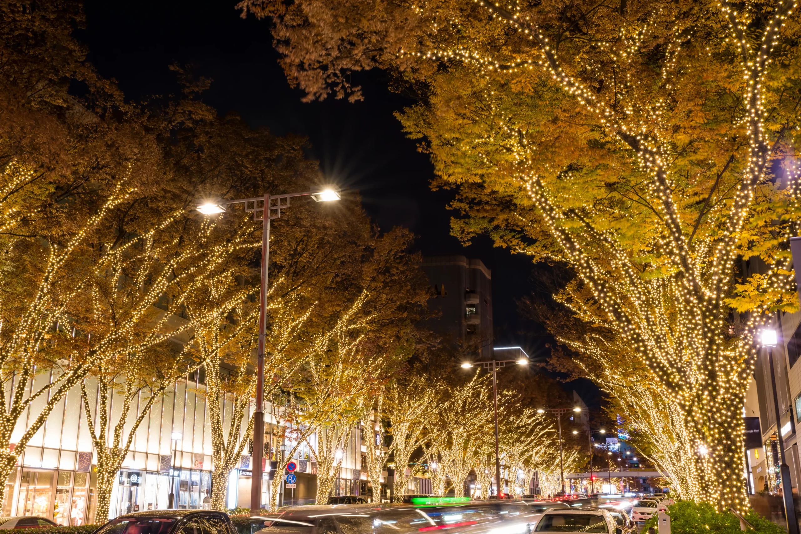 Marunouchi winter illumination in Tokyo with golden lights lining the avenue at night
