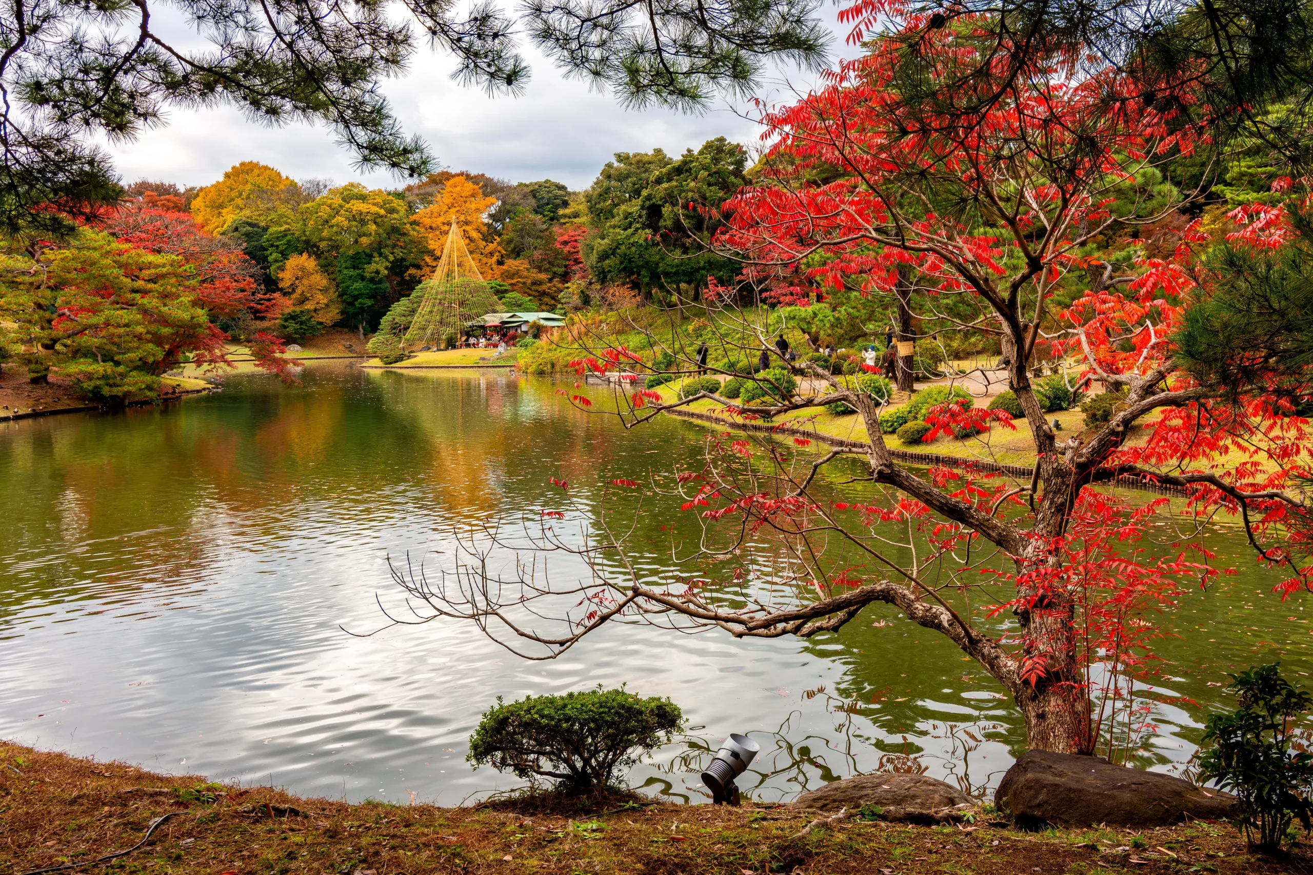 Traditional Japanese garden at Rikugien in Tokyo featuring autumn foliage reflected on a peaceful pond