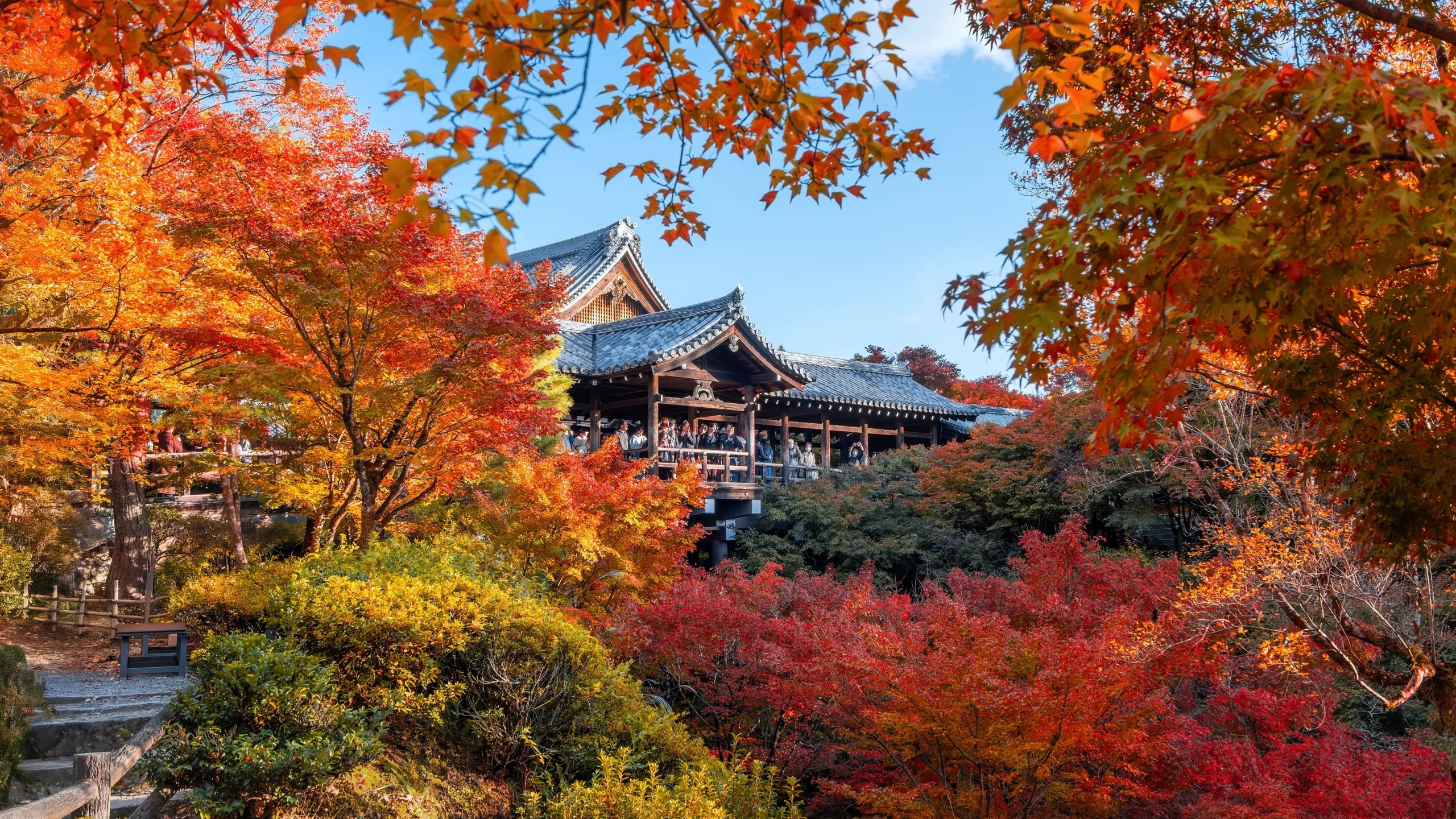Tofuku-ji Temple in Kyoto surrounded by brilliant autumn maple leaves and historic temple architecture
