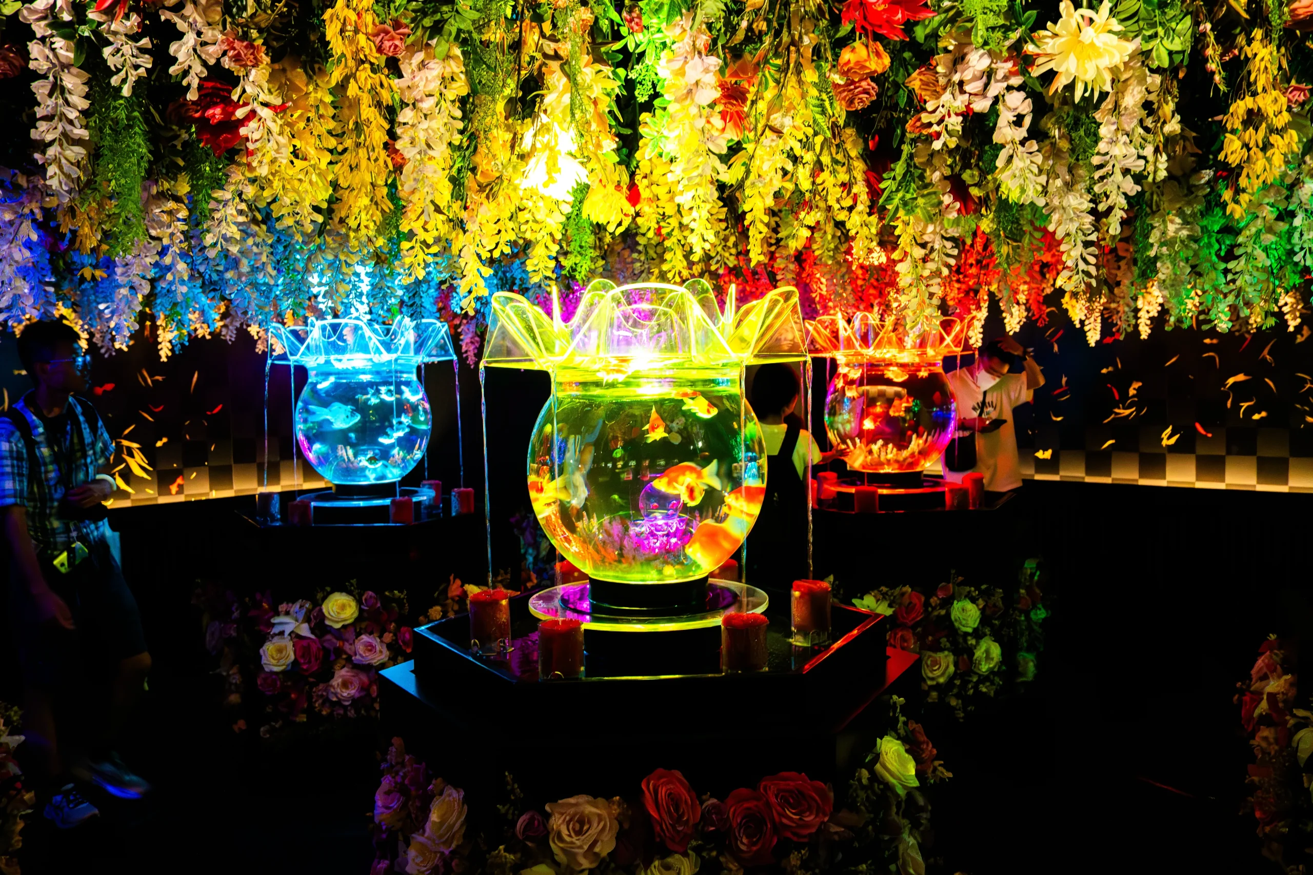 Illuminated goldfish bowls and flowers at the Art Aquarium Museum in Ginza, Tokyo