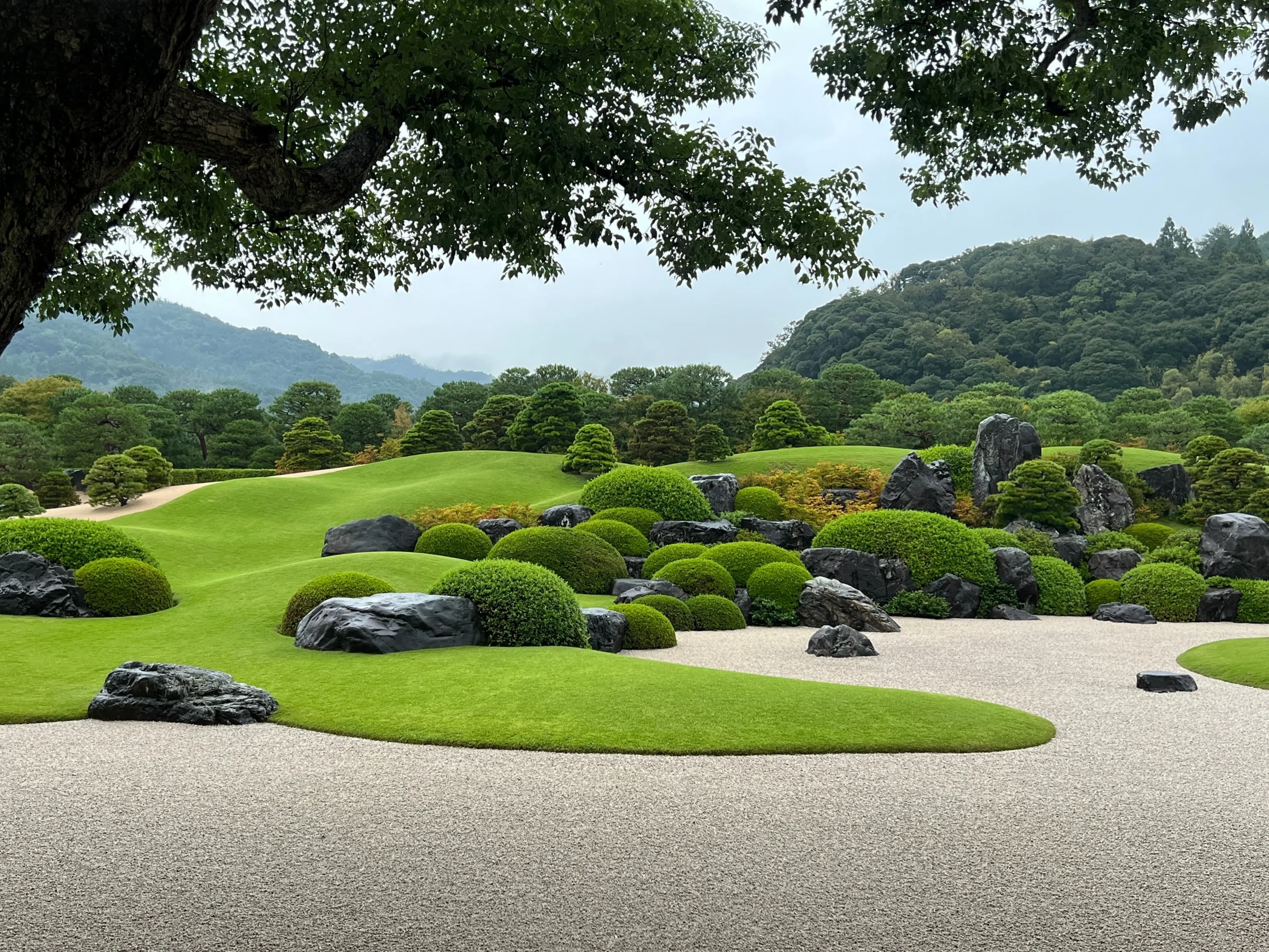 Manicured Japanese garden with raked gravel and pruned pines at the Adachi Museum of Art