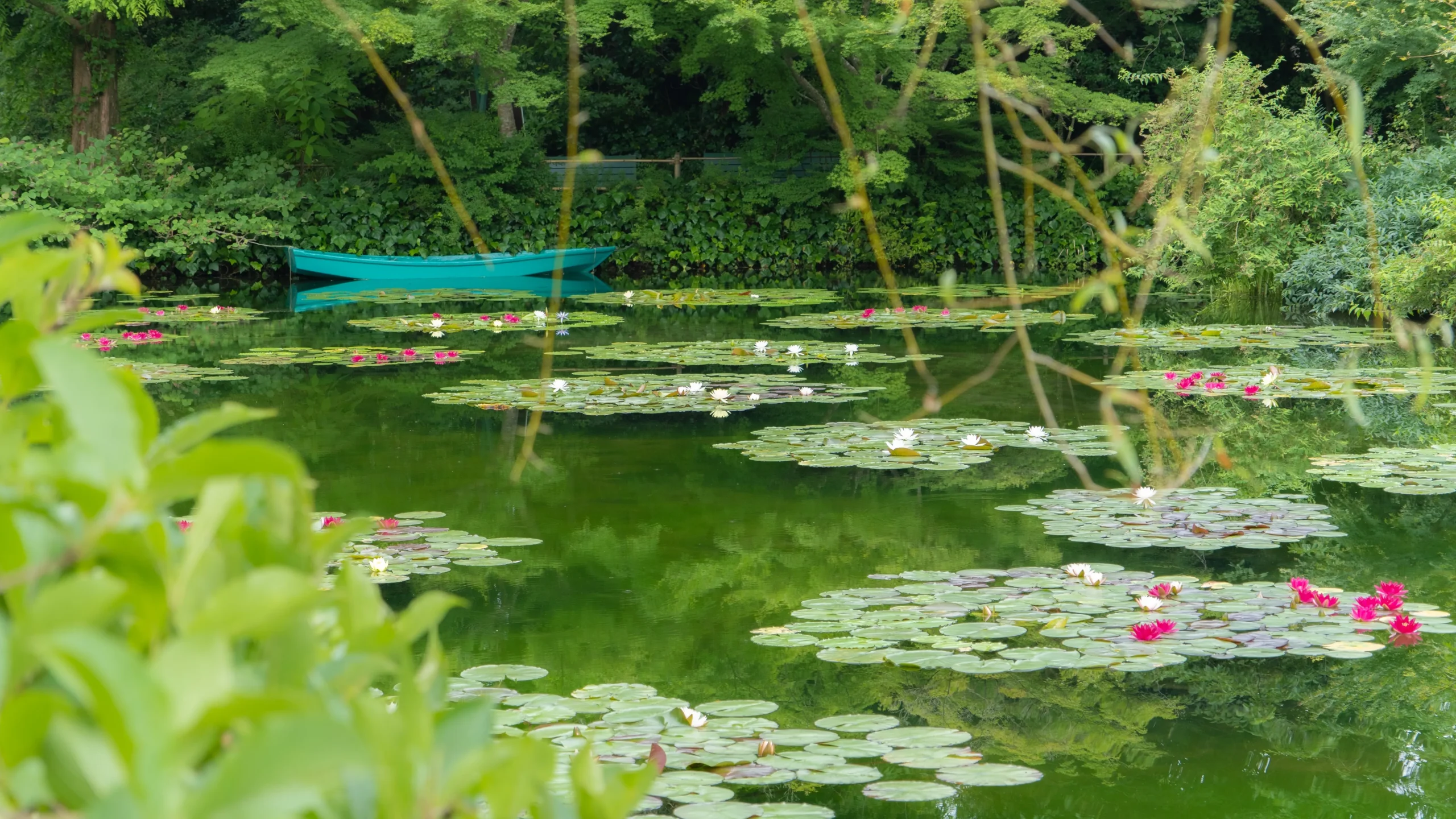 Water lily pond with a green boat at Monet's Garden Marmottan in Kitagawa Village, Kochi