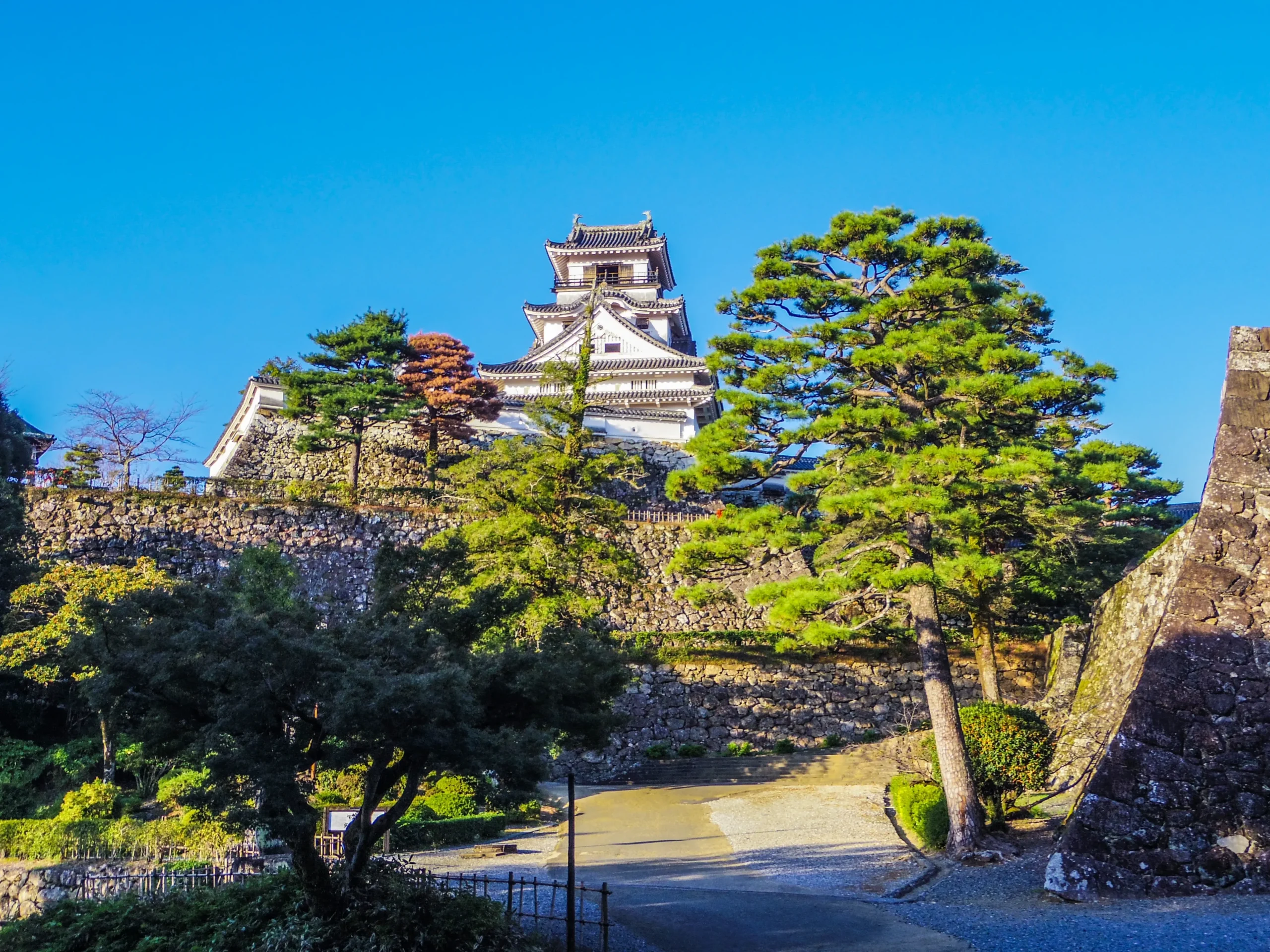 Kochi Castle keep rising above stone walls and pine trees under a blue sky